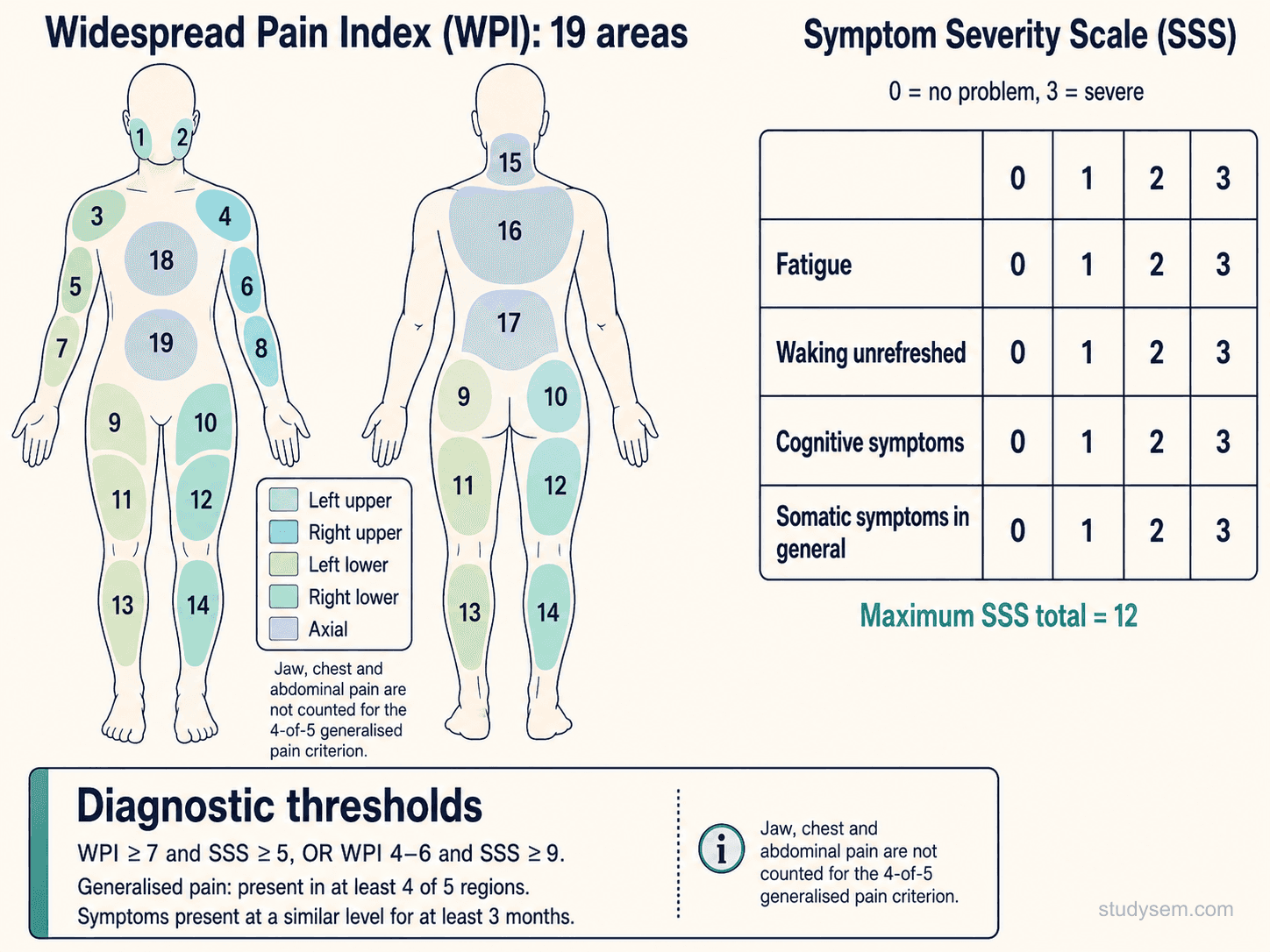 Diagram of the 2016 ACR fibromyalgia criteria. Left: anterior and posterior body map highlighting the 19 areas across 5 body regions used to score the Widespread Pain Index (WPI). Right: the Symptom Severity Scale (SSS) listing fatigue, waking unrefreshed, and cognitive symptoms each scored 0-3 plus somatic symptom burden 0-3. Diagnostic thresholds: WPI of 7 or more plus SSS of 5 or more, or WPI 4-6 plus SSS of 9 or more, with generalised pain in 4 of 5 regions for at least 3 months.