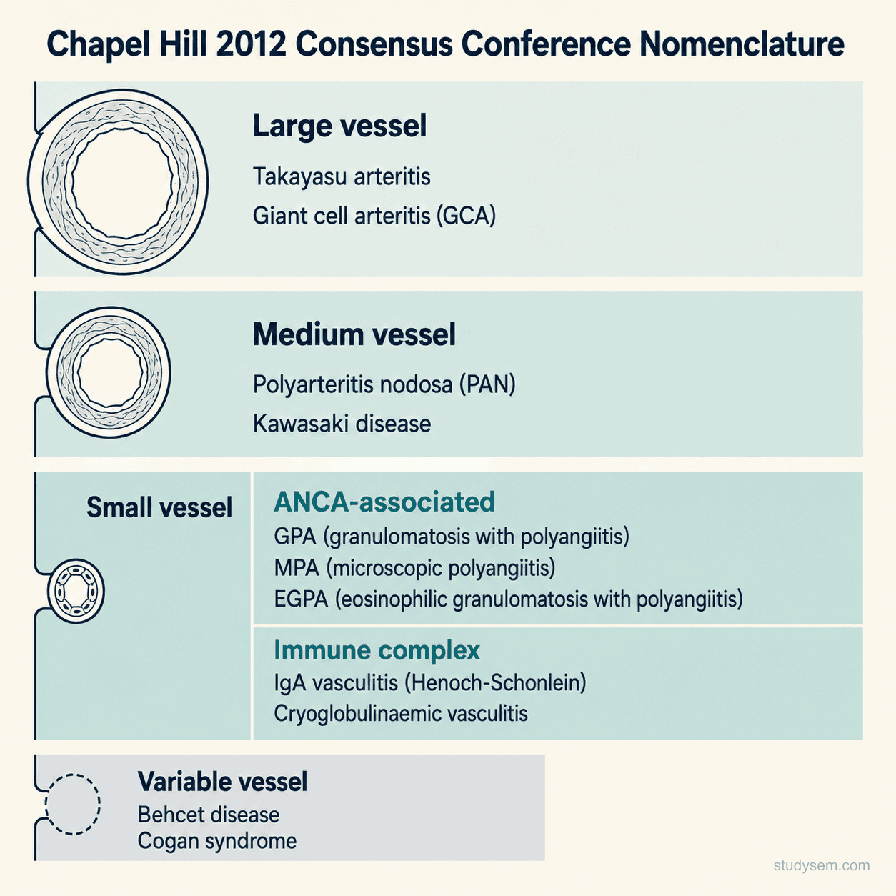 Chapel Hill 2012 nomenclature schematic organising the systemic vasculitides by predominant vessel size: large vessel (GCA, Takayasu), medium vessel (PAN, Kawasaki), small vessel ANCA-associated (GPA, MPA, EGPA), small vessel immune complex (IgA vasculitis, cryoglobulinaemic), and variable vessel (Behcet, Cogan)