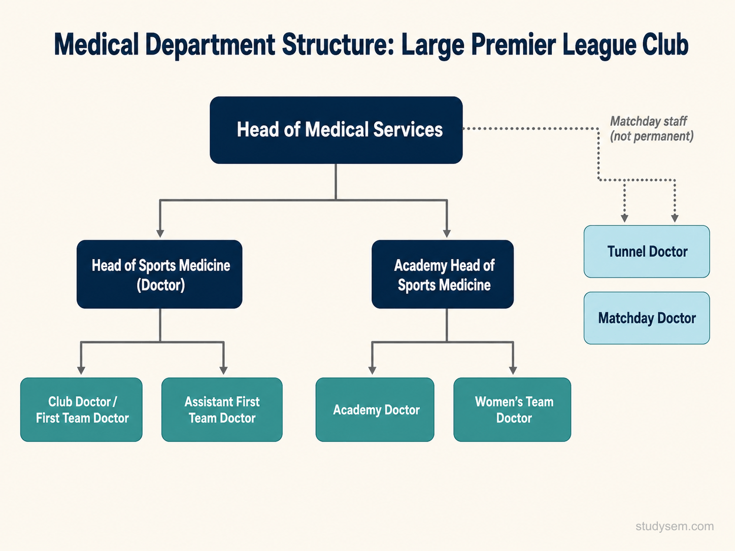 Organisational chart showing the medical department structure of a large Premier League football club