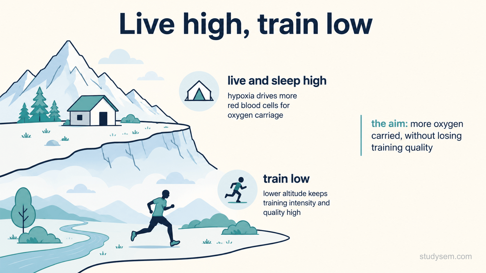 A figure of the live high, train low model of altitude training. The athlete lives and sleeps high, where hypoxia drives more red blood cells for oxygen carriage, but trains at lower altitude to keep training intensity and quality high, so the aim is more oxygen carried without losing training quality.