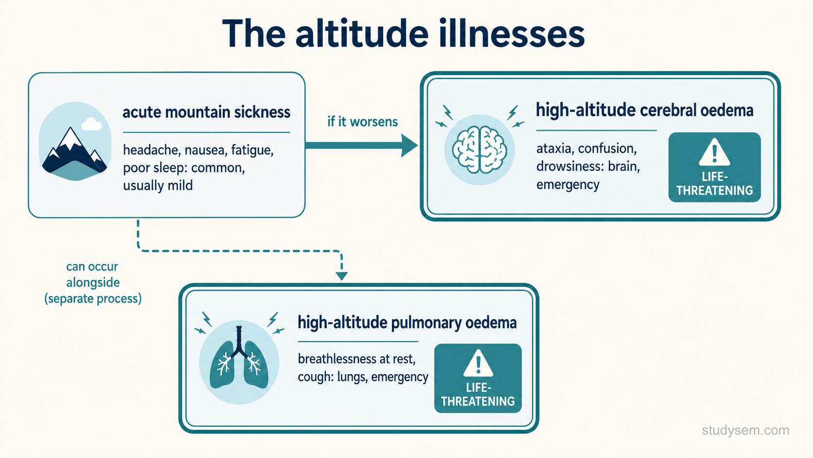 A figure of the altitude illnesses. Acute mountain sickness, with headache, nausea, fatigue and poor sleep, is common and usually mild but can progress to high-altitude cerebral oedema, marked by ataxia, confusion and drowsiness, a life-threatening brain emergency. High-altitude pulmonary oedema, with breathlessness at rest and cough, is a separate life-threatening lung emergency that can occur alongside.