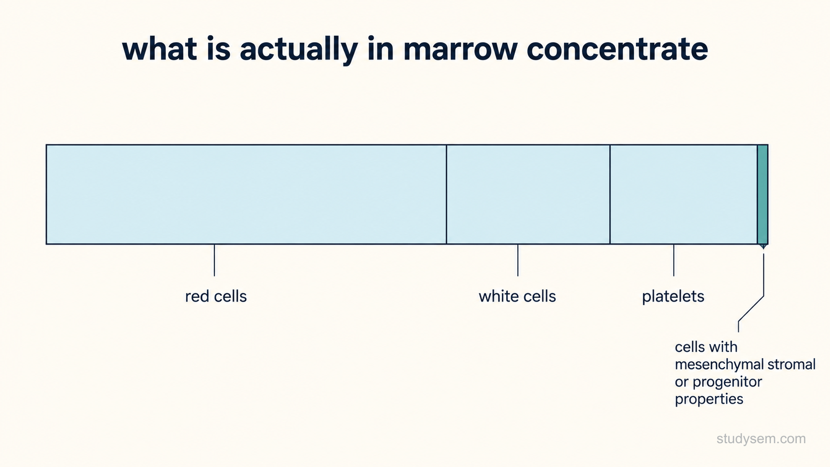 Single schematic composition bar on a cream background representing the contents of a bone marrow aspirate concentrate, drawn as a non-proportional schematic rather than to scale. The bar is divided into segments for blood cells and platelets, with a narrow segment at one end drawn in a contrasting accent colour representing cells with mesenchymal stromal or progenitor properties, and a thin leader line pointing to it. Labels only on the segments: blood cells, platelets, cells with mesenchymal stromal or progenitor properties, composition varies by system and patient.
