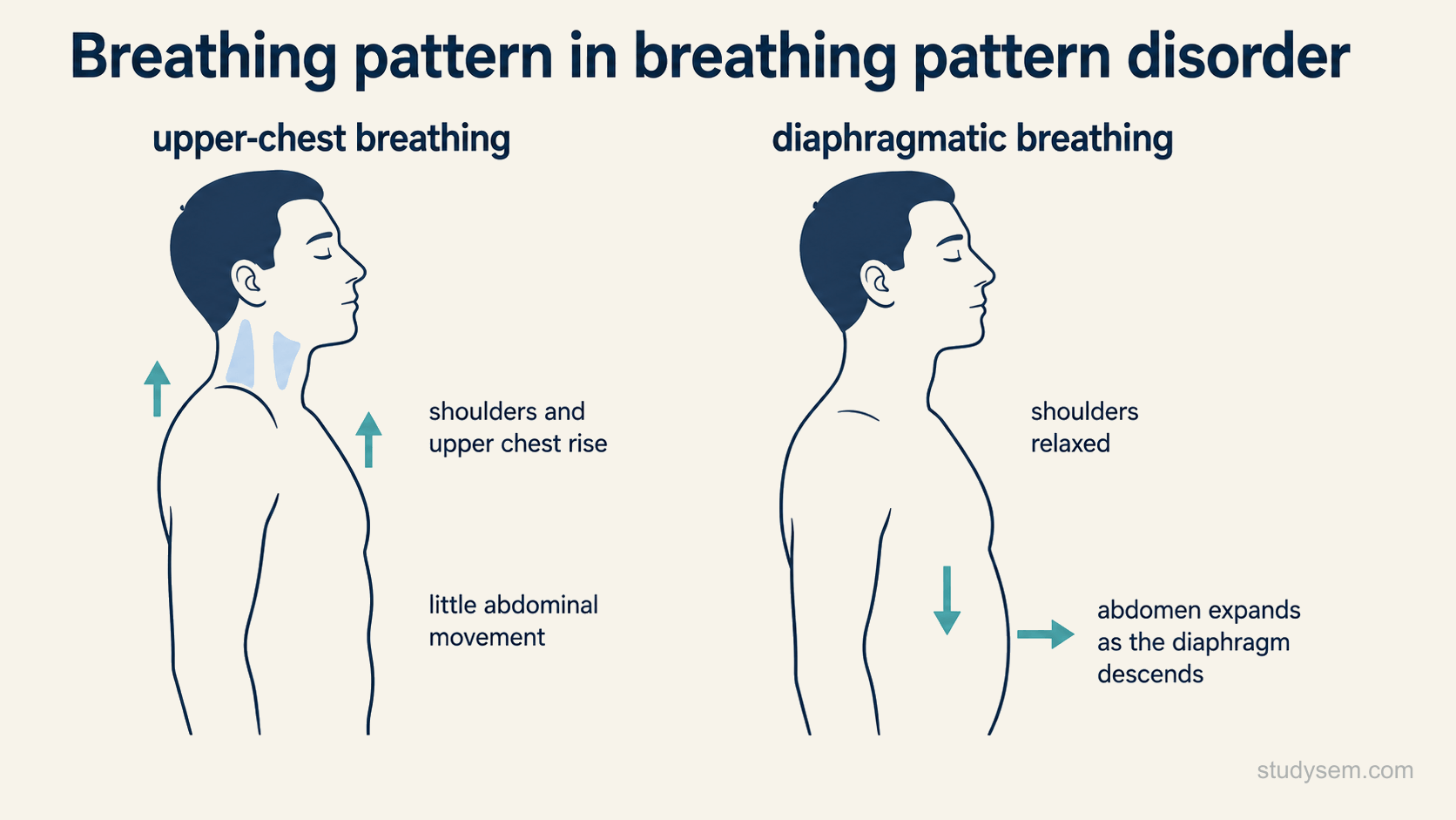 Two side-view torso figures compared, one showing inefficient upper-chest breathing with the shoulders and upper chest rising and little abdominal movement, the other showing efficient diaphragmatic breathing with relaxed shoulders and the abdomen expanding as the diaphragm descends.