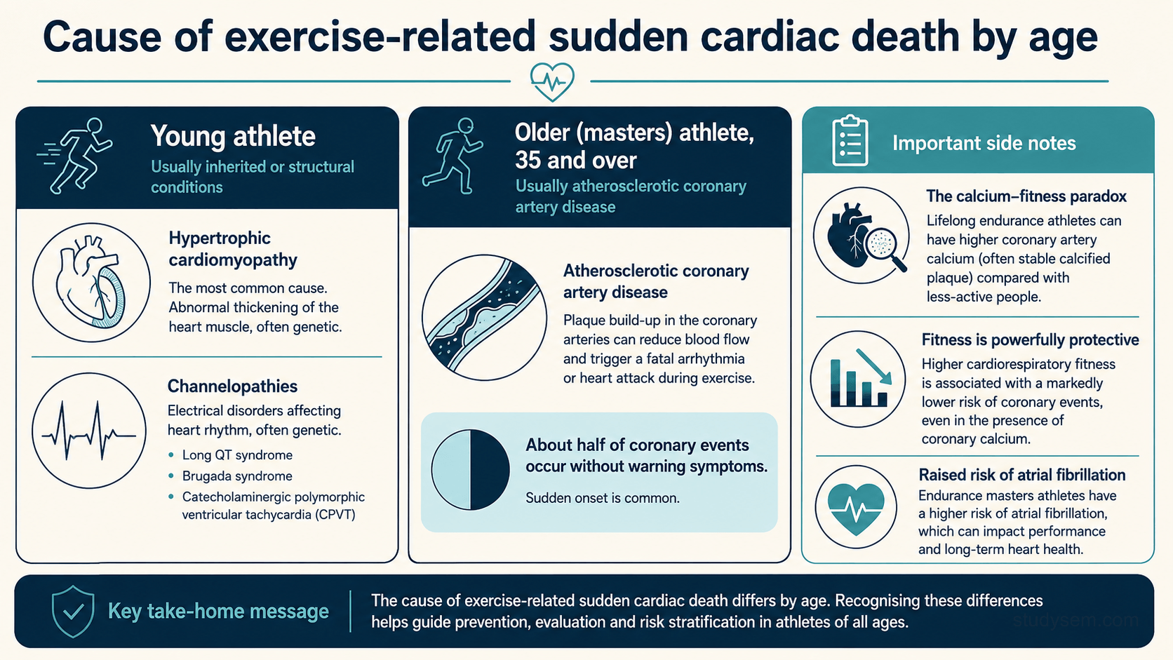 A comparison figure. Young athlete: sudden cardiac death is usually from inherited or structural conditions such as hypertrophic cardiomyopathy and the channelopathies. Older (masters) athlete, taken conventionally as 35 and over: sudden cardiac death is usually from atherosclerotic coronary artery disease, and warning symptoms are often absent. A side note explains that some cohorts, particularly male lifelong endurance athletes, show more coronary calcification, which remains evidence of coronary atherosclerosis with prognostic importance; a more calcified plaque may be relatively stable, but this does not make a raised score benign, and fitness attenuates but does not eliminate risk. It adds that atrial fibrillation risk is increased mainly in men with long-term high-volume endurance exposure.