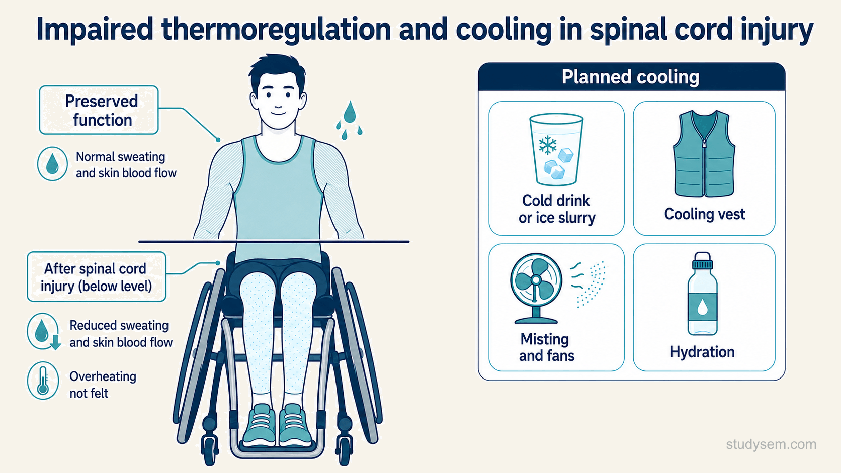 A concept figure of an athlete in a wheelchair showing impaired thermoregulation after spinal cord injury: below the lesion, reduced sweating and impaired skin blood flow limit heat loss, and reduced sensation means overheating is not felt, while above the lesion function is preserved; a separate panel shows cooling strategies including cold drinks or ice slurry, a cooling vest, misting and fans, and hydration.
