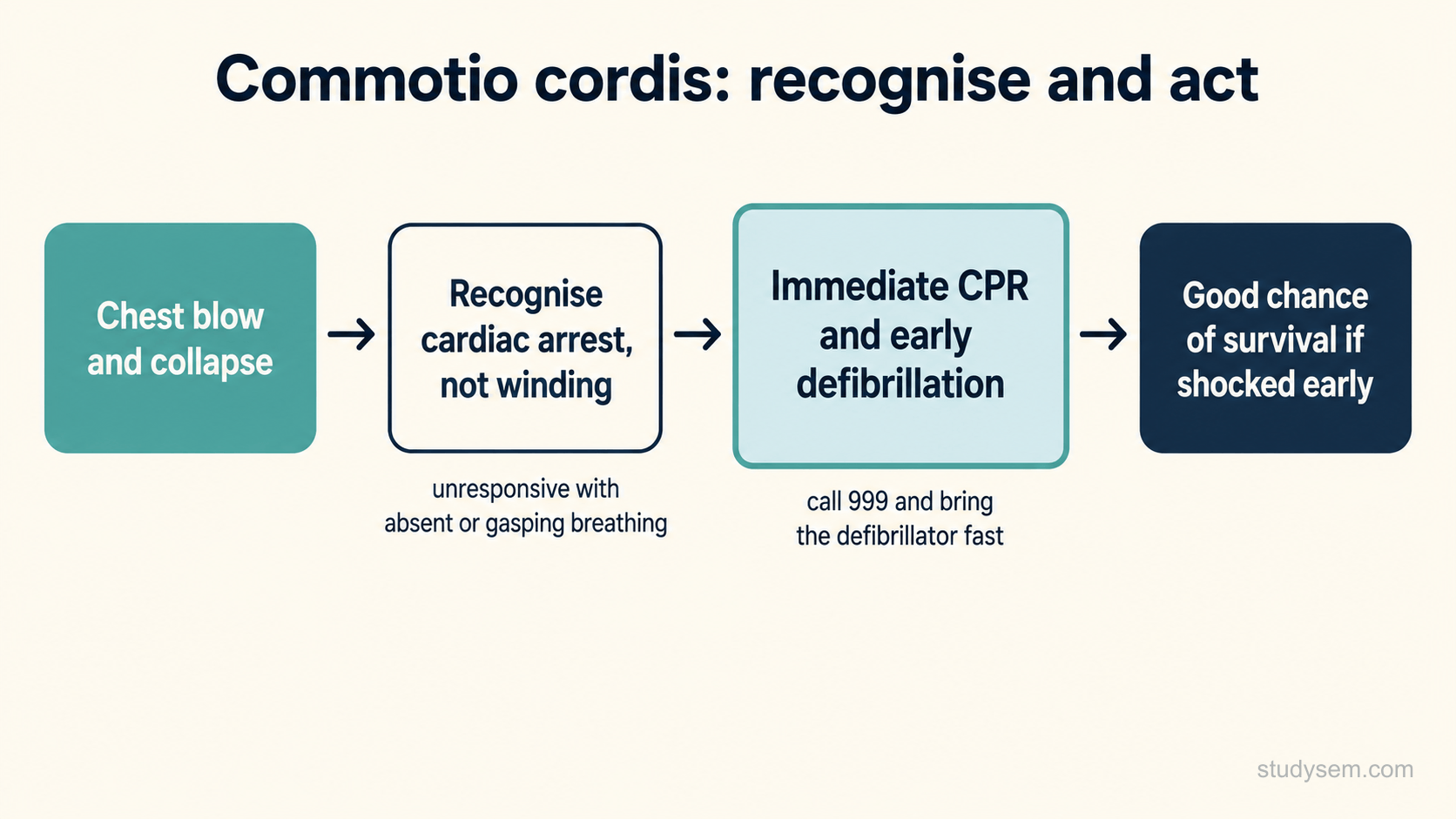Horizontal response pathway for commotio cordis with four linked stages: chest blow and collapse, recognise cardiac arrest not winding, immediate CPR and early defibrillation, and a good chance of survival if shocked early.