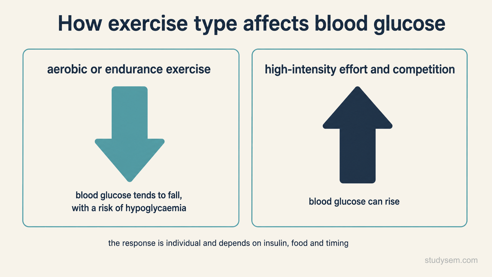 A two-panel figure showing how exercise type affects blood glucose, with a downward arrow for aerobic or endurance exercise, where blood glucose tends to fall with a risk of hypoglycaemia, and an upward arrow for high-intensity effort and competition, where blood glucose can rise, noting that the response is individual and depends on insulin, food and timing.