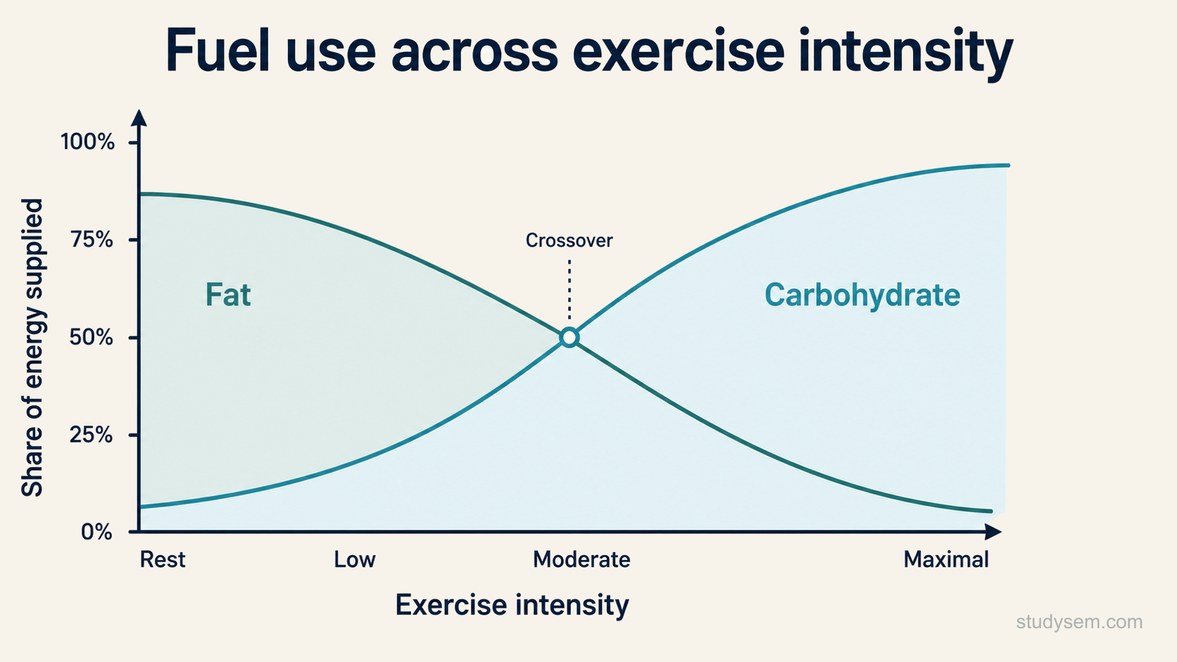 A graph showing how the balance of fuel changes with exercise intensity, with intensity from rest to maximal along the horizontal axis and the proportion of energy from each fuel on the vertical axis. Fat supplies most of the energy at rest and low intensity, and its share falls as intensity rises, while carbohydrate supplies an increasing share and becomes the dominant fuel at high intensity.