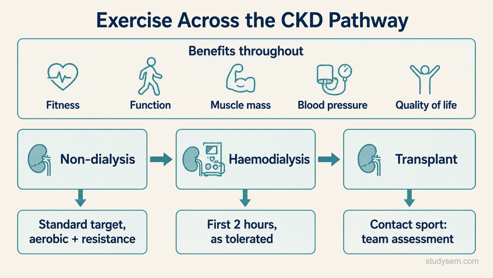 A diagram showing the benefits of exercise across the chronic kidney disease pathway, drawn as a horizontal progression with three stages labelled non-dialysis, haemodialysis and transplant. Above the progression, a banner headed benefits throughout marks fitness, function, muscle mass, blood pressure and quality of life. Below each stage a caption box gives the stage-specific consideration: standard target with aerobic and resistance work, exercise in the first two hours as tolerated, and transplant team assessment for contact sport.