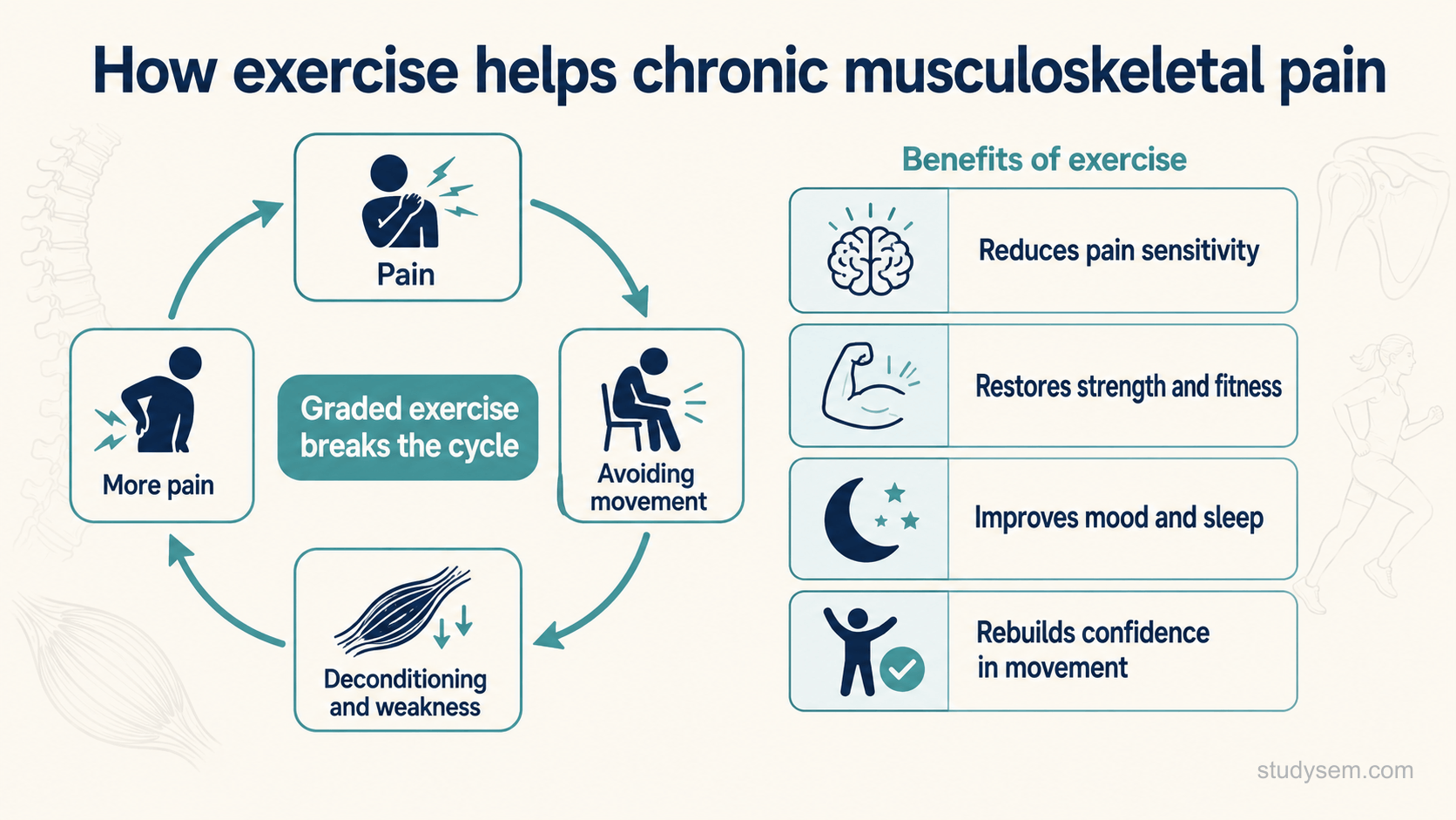 A clean cycle-and-benefits diagram on a cream background titled 'How exercise helps chronic musculoskeletal pain'. On the left, a self-reinforcing loop of 'Pain', 'Avoiding movement', 'Deconditioning and weakness' and 'More pain', with a central label 'Graded exercise breaks the cycle'. On the right, four labelled benefits: 'Reduces pain sensitivity', 'Restores strength and fitness', 'Improves mood and sleep', and 'Rebuilds confidence in movement'. Flat navy and teal on cream, Inter typeface.