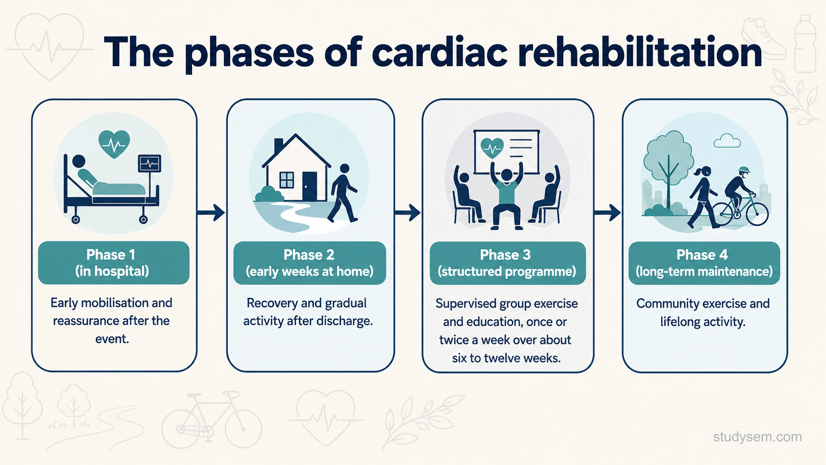 A clean horizontal four-stage flow diagram on a cream background titled 'The phases of cardiac rehabilitation'. Stage one headed 'Phase 1 (in hospital)': early mobilisation, assessment and reassurance, initiated before discharge with assessment normally within about ten days. Stage two headed 'Phase 2 (early weeks at home)': recovery and gradual activity after discharge. Stage three headed 'Phase 3 (structured programme)': supervised group exercise and education, once or twice a week over about six to twelve weeks. Stage four headed 'Phase 4 (long-term maintenance)': community exercise and lifelong activity. Flat navy and teal on cream, Inter type, understated arrows between stages.