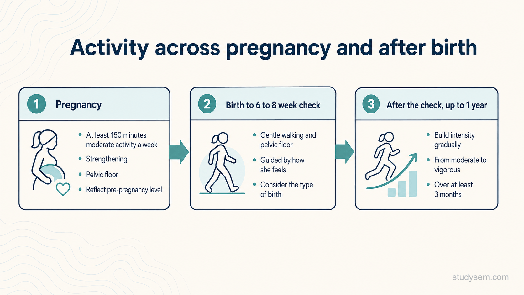 A clean horizontal timeline diagram on a cream background titled 'Activity across pregnancy and after birth'. Three labelled stages left to right: 'Pregnancy' (at least 150 minutes moderate a week, strengthening, pelvic floor, reflect pre-pregnancy level); 'Birth to 6 to 8 week check' (gentle walking and pelvic floor, guided by how she feels and the type of birth); 'After the check, up to 1 year' (the check is not automatic clearance; build intensity from moderate to vigorous over at least 3 months, guided by recovery). Flat navy and teal on cream, a simple arrow linking the stages, Inter type.