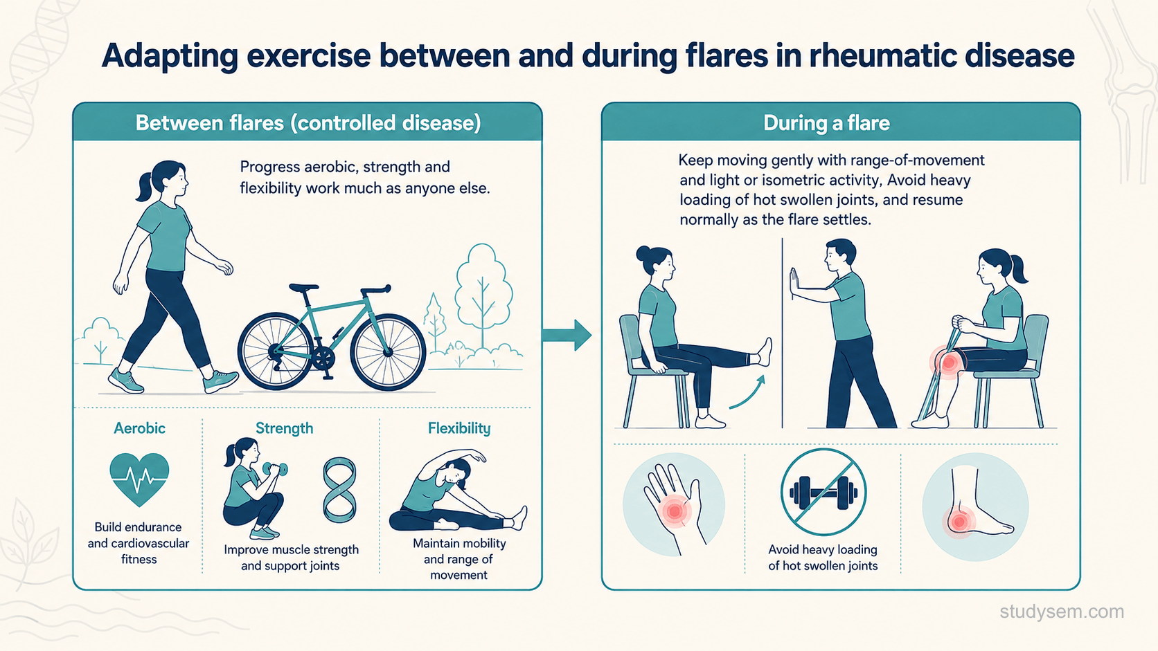 A clean two-state reference diagram on a cream background titled 'Adapting exercise between and during flares in rheumatic disease'. Left panel headed 'Between flares (controlled disease)': progress aerobic, strength and flexibility work much as anyone else. Right panel headed 'During a flare': keep moving gently with range-of-movement and light or isometric activity, avoid heavy loading of hot swollen joints, and resume normally as the flare settles. Flat navy and teal on cream, Inter typeface.