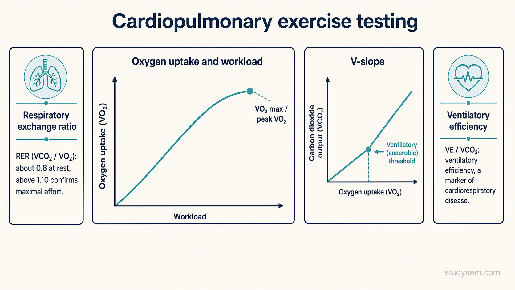 A concept figure of an incremental cardiopulmonary exercise test on a cycle ergometer, showing oxygen uptake rising with workload towards a peak (reported as peak VO2, or VO2 max only if a plateau is seen), a small V-slope panel plotting carbon dioxide output against oxygen uptake to mark the first ventilatory threshold (VT1), and labelled read-outs for the respiratory exchange ratio (near 0.7 for fat and 1.0 for carbohydrate in steady state, above 1.10 supports a near-maximal effort) and the ventilatory efficiency slope (VE over VCO2).