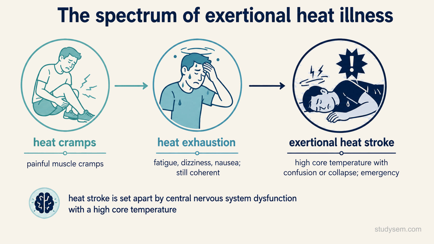 A severity continuum from heat exhaustion to exertional heat stroke, with central nervous system dysfunction marking exertional heat stroke, and exercise-associated muscle cramps shown as a separate, common, usually benign entity rather than the first step of the continuum.