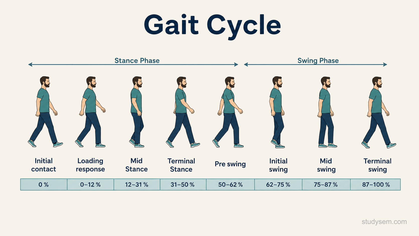 A concept figure of the walking gait cycle from one initial contact to the next initial contact of the same foot, shown as a left-to-right sequence of a stylised walker through initial contact, loading response, midstance, terminal stance and pre-swing during stance, then initial, mid and terminal swing, with stance about sixty per cent and swing about forty per cent, and the two periods of double support marked at the start and end of stance.