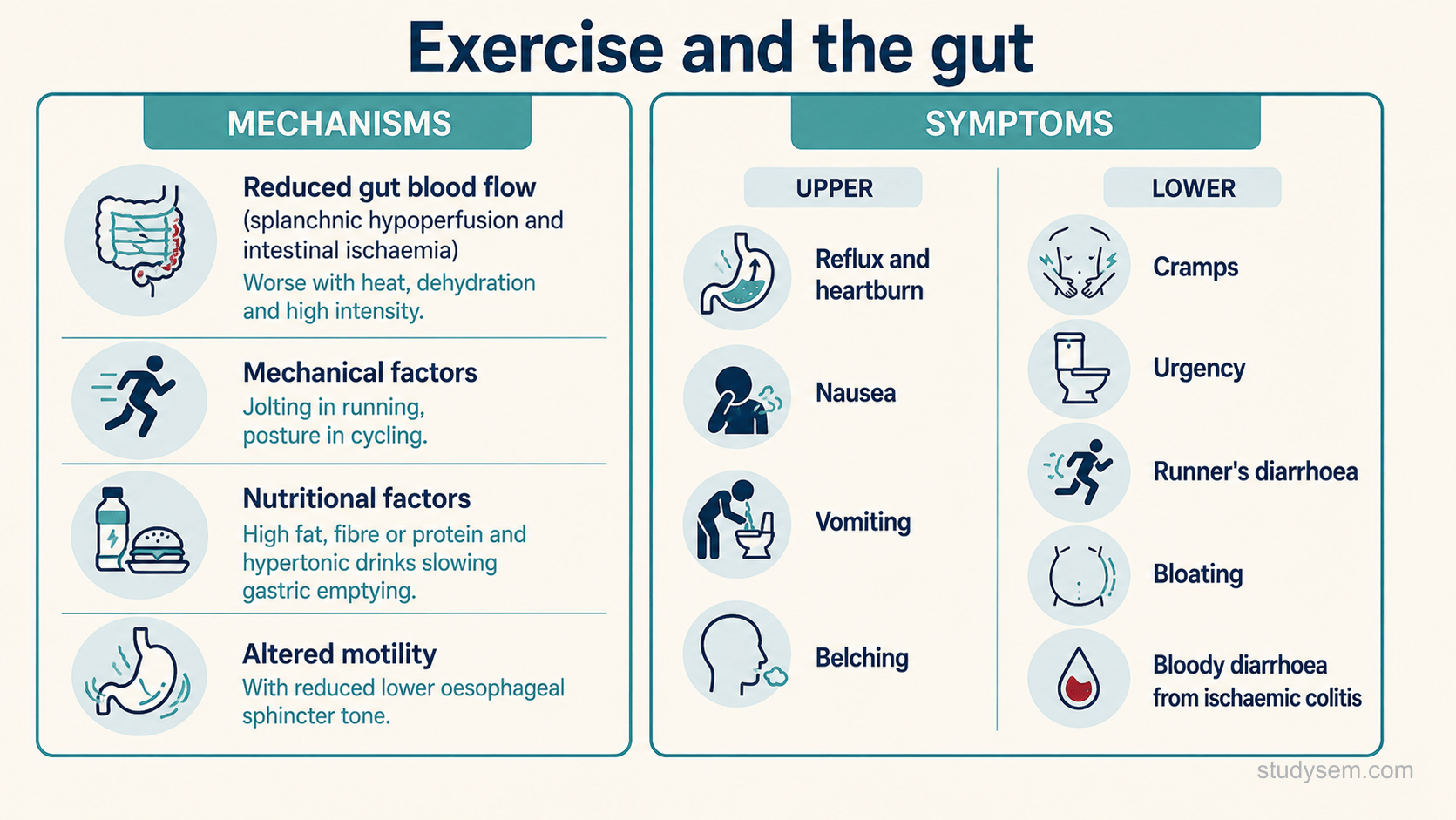 A figure with two parts. Mechanisms are multifactorial: reduced gut blood flow (splanchnic hypoperfusion), particularly in prolonged intense exercise and heat, which may increase epithelial injury and permeability; mechanical factors such as jolting in running and posture in cycling; nutritional factors such as high-fat, high-fibre or high-protein food and hypertonic drinks slowing gastric emptying; and altered motility with reduced lower oesophageal sphincter tone. Symptoms split into upper (reflux and heartburn, nausea, vomiting, belching) and lower (cramps, urgency, runner's diarrhoea, bloating). A note reserves ischaemic colitis for severe abdominal pain with bloody diarrhoea.