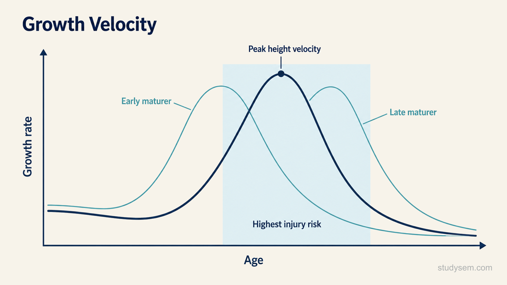 A growth velocity curve plotted with age on the horizontal axis and rate of growth in stature on the vertical axis. The curve declines through childhood, rises steeply to a clear peak during adolescence, then falls toward zero. The peak is marked with a short label for peak height velocity, and a shaded band spanning the period around and after the peak is marked as the window of highest injury risk. Two fainter parallel curves offset to the left and right illustrate early and late maturers reaching the same peak at different ages.