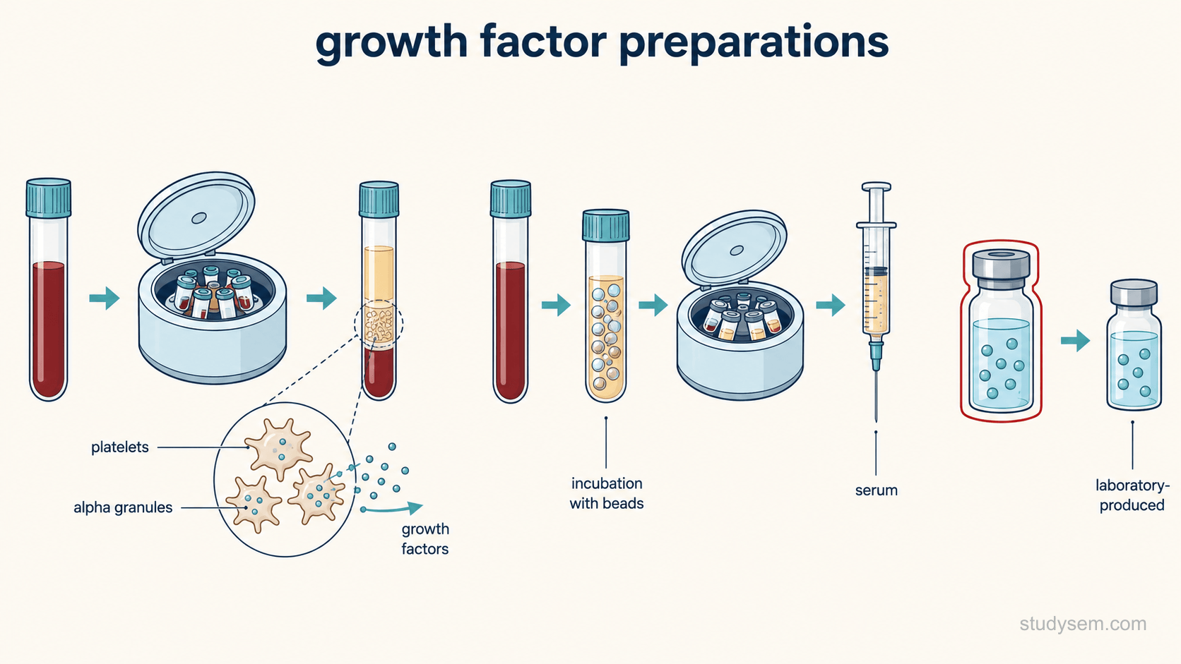 Title reads blood-derived mediator preparations. Three simple preparation routes on a cream background, drawn left to right. Route one, labelled platelet-rich plasma, starts from a blood tube and shows centrifugation concentrating platelets, with small dots leaving the platelets labelled growth factors released from alpha granules. Route two, labelled autologous conditioned serum, starts from a blood tube shown incubated in a treated glass-bead syringe, then centrifuged, with an arrow to a syringe and a label reading cytokine-enriched. Route three, labelled purified or recombinant growth factor, starts from a laboratory vial rather than patient blood and is drawn with a red border. Labels only: platelets, alpha granules, growth factors, glass-bead incubation, cytokine-enriched serum, laboratory-produced.