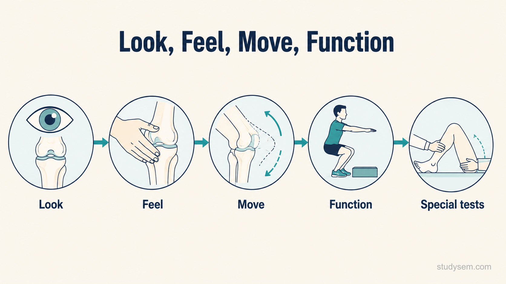 A horizontal flow diagram of the regional musculoskeletal examination sequence with four linked stages shown left to right, each as a simple icon with a short label: Look, showing an eye over a joint; Feel, showing a hand palpating; Move, showing a joint through a range with active and passive arrows; and Function, showing a functional task. A fifth optional stage labelled Special tests follows at the end.