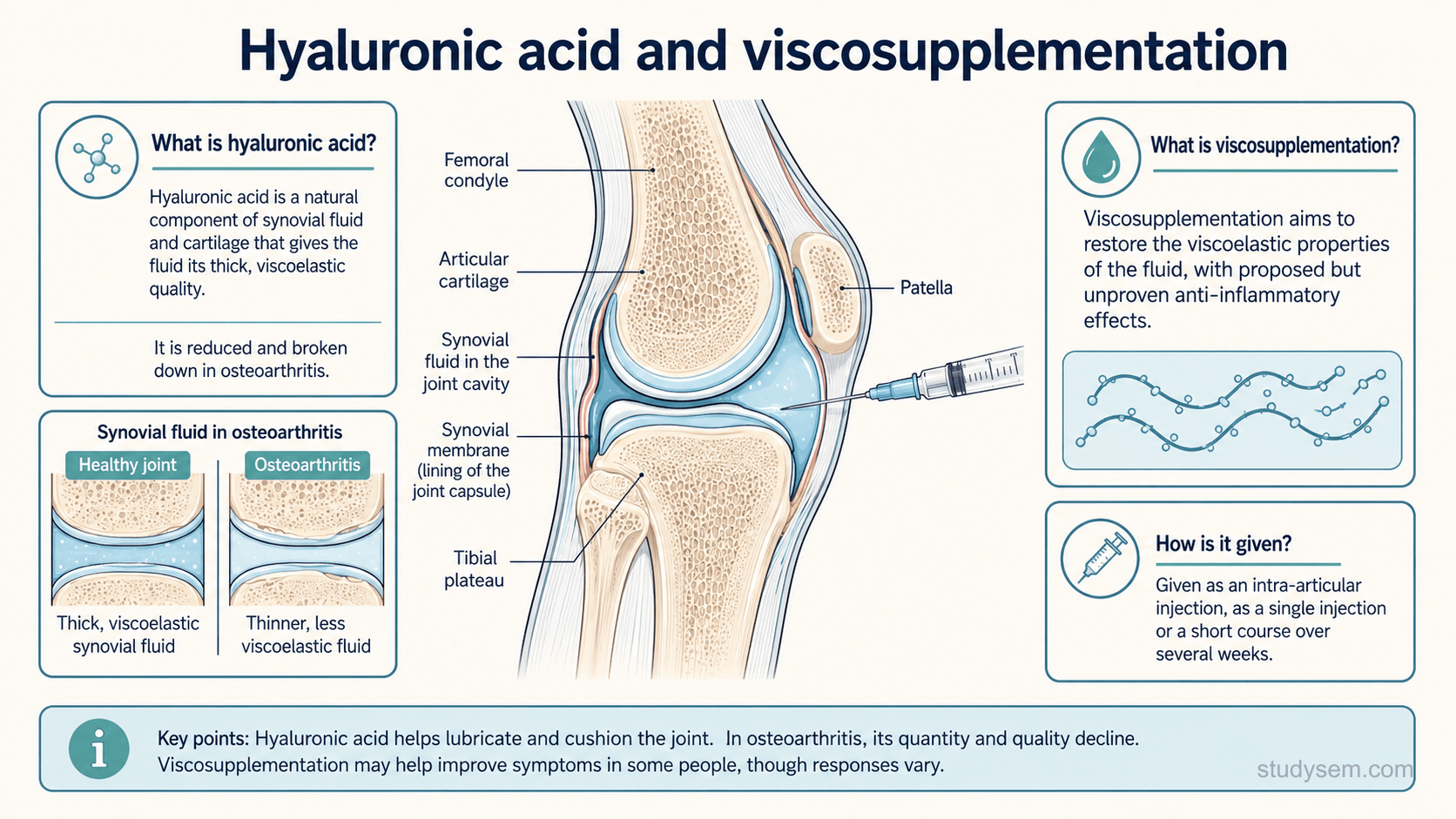 An educational figure titled 'Hyaluronic acid and viscosupplementation'. An anatomically accurate knee joint in cross-section shows the femur, tibia, patella, articular cartilage covering the joint surfaces, the synovial membrane and the synovial fluid within the joint cavity, with a needle entering the joint space from the side. A callout explains that hyaluronic acid is a natural component of synovial fluid and cartilage that gives the fluid its thick, viscoelastic quality, and that in osteoarthritis the hyaluronic acid in the fluid is reduced and broken down. A second callout explains that viscosupplementation aims to restore the viscoelastic properties of the fluid, with proposed but unproven anti-inflammatory effects. A note states it is given as an intra-articular injection, as a single injection or a short course over several weeks.