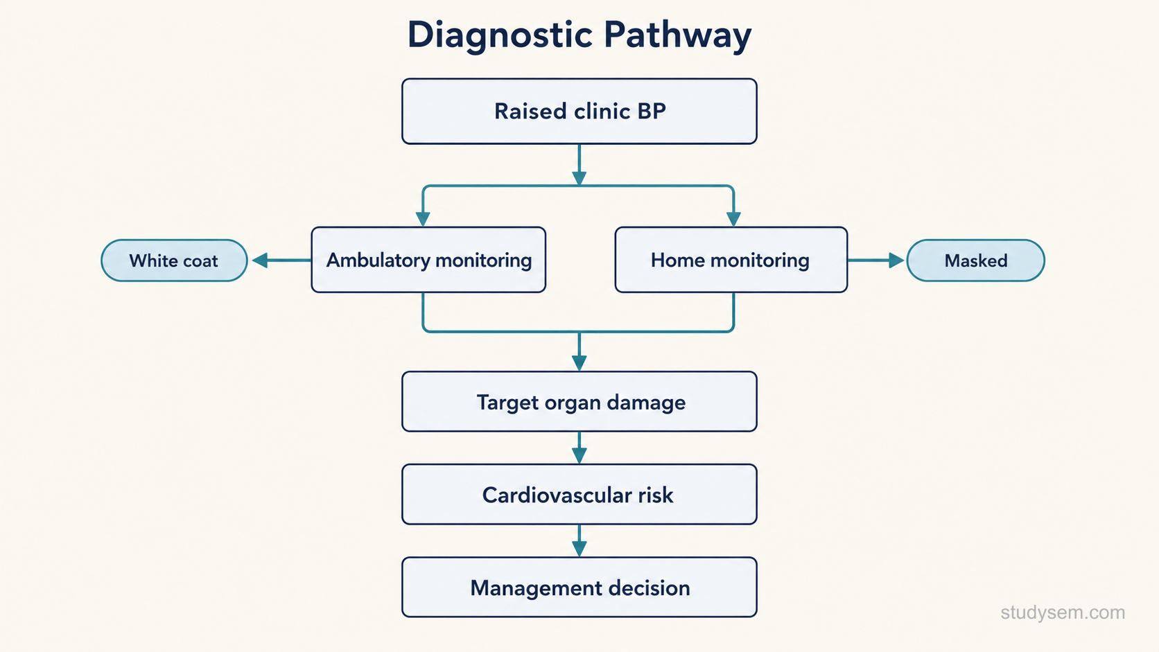 A vertical flow diagram of the hypertension diagnostic pathway with linked labelled boxes: raised clinic blood pressure at the top; then confirm away from the clinic, splitting into two parallel boxes labelled ambulatory monitoring and home monitoring; then assess target organ damage and cardiovascular risk; then a final box for the management decision. Two short side labels branch from the confirmation stage, one for the white coat effect and one for masked hypertension.