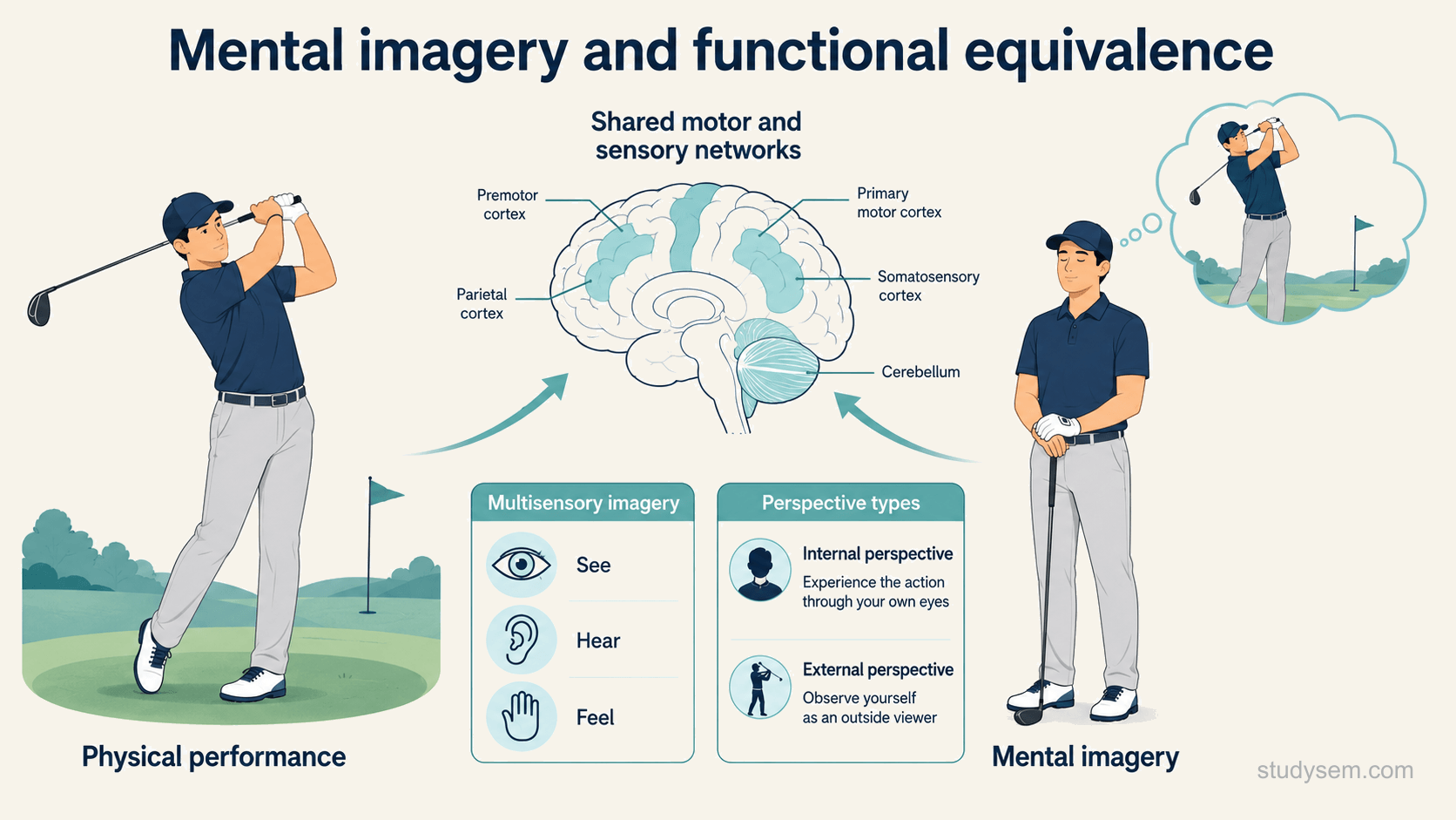 A concept figure of mental imagery and functional equivalence: an athlete performing a skill beside the same athlete imagining it, with a stylised schematic brain showing overlapping highlighted motor and sensory regions active in both, and small labels for the multisensory nature (see, hear, feel) and for internal versus external perspective.
