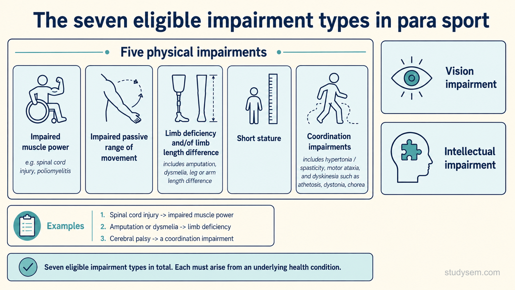 A figure titled 'The seven eligible impairment types in para sport'. Five physical impairments are grouped together: impaired muscle power, impaired passive range of movement, limb deficiency and/or limb length difference, short stature, and coordination impairments (hypertonia or spasticity, motor ataxia, and dyskinesia such as athetosis, dystonia and chorea). Vision impairment and intellectual impairment are shown separately. Short notes give examples of underlying conditions, such as spinal cord injury causing impaired muscle power, amputation or dysmelia causing limb deficiency, and cerebral palsy causing a coordination impairment. A footer notes that each impairment must arise from an underlying health condition and meet defined criteria.