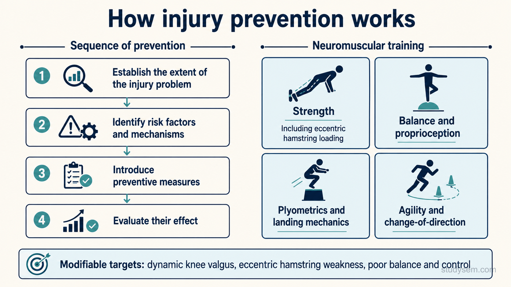 A figure titled 'How injury prevention works'. On the left, the sequence of prevention is shown as four steps: establish the extent of the injury problem, identify the risk factors and mechanisms, introduce preventive measures, and evaluate their effect. On the right, the components of a neuromuscular training programme are shown as panels: strength (including eccentric hamstring loading), balance and proprioception, plyometrics and landing mechanics, and agility and change-of-direction drills. A footer notes the modifiable targets these address, including dynamic knee valgus, eccentric hamstring weakness and poor balance and control.
