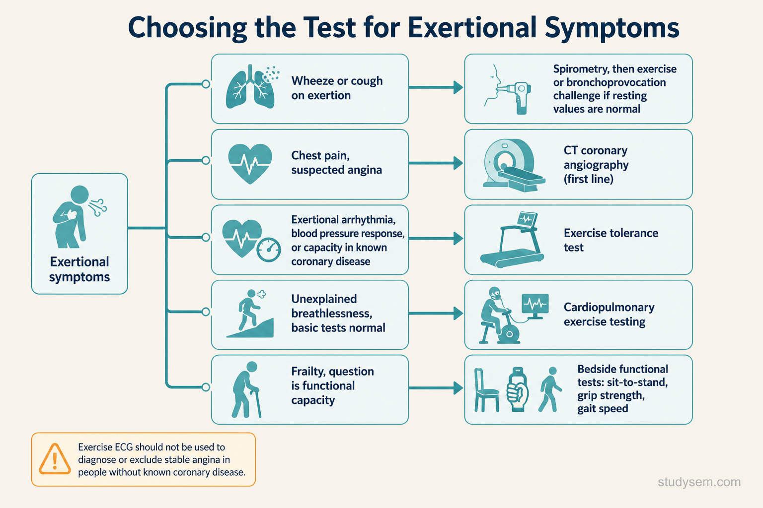 A branching decision diagram starting from a single node labelled exertional symptoms. One branch leads to spirometry and peak expiratory flow for suspected airways disease. A second branch leads to exercise tolerance testing for suspected ischaemia or exertional arrhythmia. A third branch leads to cardiopulmonary exercise testing for unexplained breathlessness where basic tests are normal. A fourth short branch leads to bedside functional tests for assessing capacity in frailty.