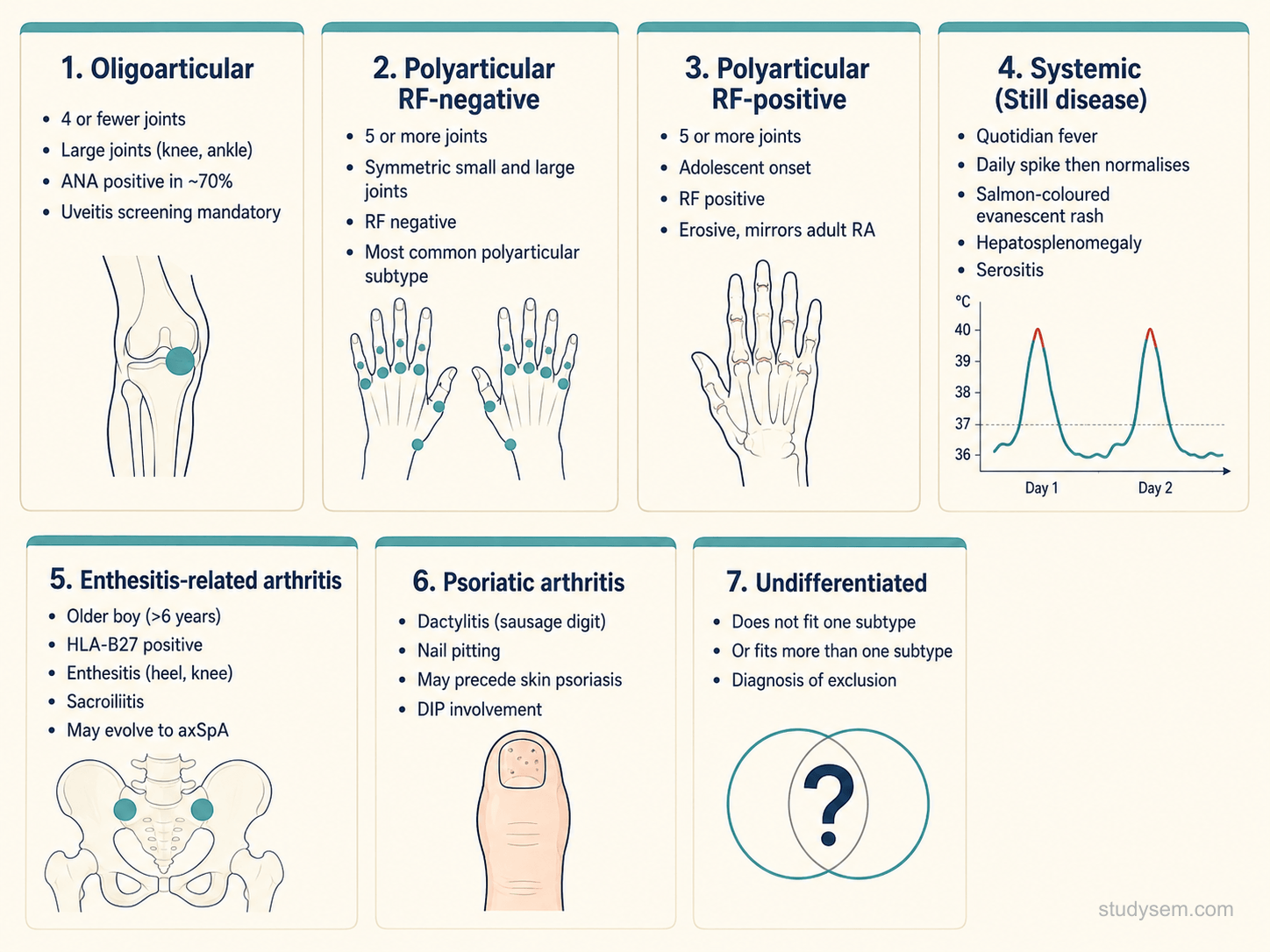Summary diagram of the ILAR juvenile idiopathic arthritis subtypes: oligoarticular (4 joints or fewer, knee predominant, ANA-positive, highest chronic uveitis risk); polyarticular RF-negative (5 or more joints, symmetric); polyarticular RF-positive (mirrors adult RA, erosive); systemic (Still disease, quotidian fever with salmon-pink rash, MAS risk); enthesitis-related arthritis (older boys, HLA-B27, sacroiliitis); psoriatic; and undifferentiated. The diagram cross-references subtype-driven uveitis screening intensity and biologic choice.