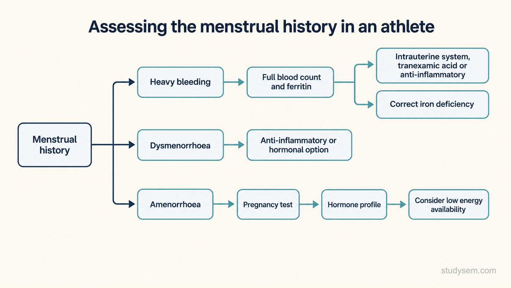 A branching figure that starts from the menstrual history and splits into three pathways. Heavy bleeding leads to a full blood count and ferritin, then to treatment with an intrauterine system, tranexamic acid or an anti-inflammatory, and correction of iron deficiency. Dysmenorrhoea leads to an anti-inflammatory or hormonal option. Amenorrhoea leads to a pregnancy test, then a hormone profile, then consideration of low energy availability. No doses or numeric values are shown.