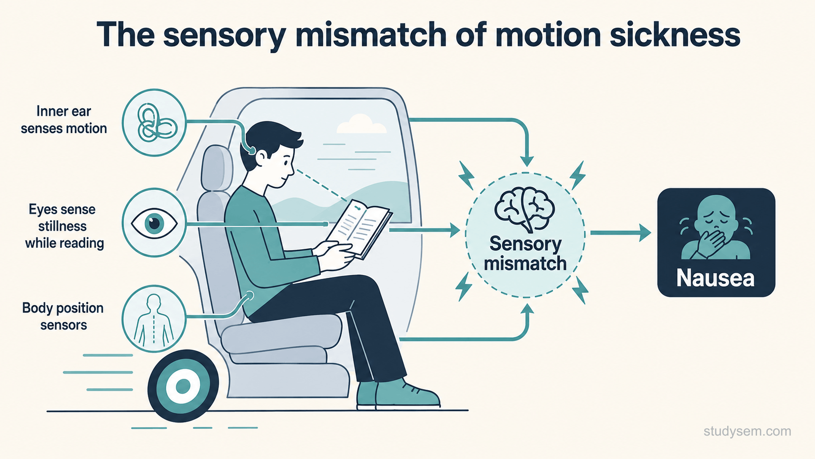 A concept diagram of the sensory mismatch behind motion sickness: the inner ear senses motion, the eyes fixed on a book or screen sense stillness, and the body position sensors add their own signal, so the brain receives conflicting messages that lead to nausea.