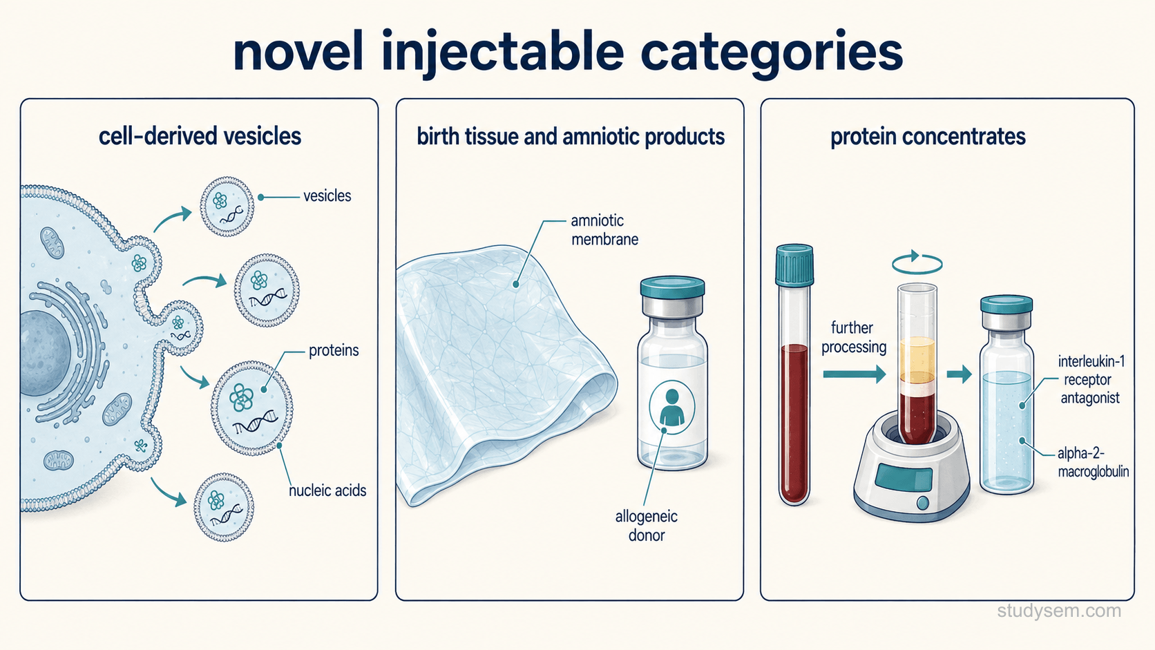 Three clearly separated panels on a cream background, each with a simple schematic and no explanatory sentences. Panel one, labelled cell-derived vesicles, shows a cell releasing small membrane-bound particles carrying protein and nucleic acid symbols. Panel two, labelled birth tissue and amniotic products, shows a processed membrane sheet and a vial, with a small marker indicating allogeneic donor origin. Panel three, labelled protein concentrates, shows a blood tube undergoing further processing into a vial, with two named proteins beside it. Labels only: vesicles, proteins, nucleic acids, amniotic membrane, allogeneic donor, further processing, interleukin-1 receptor antagonist, alpha-2-macroglobulin.