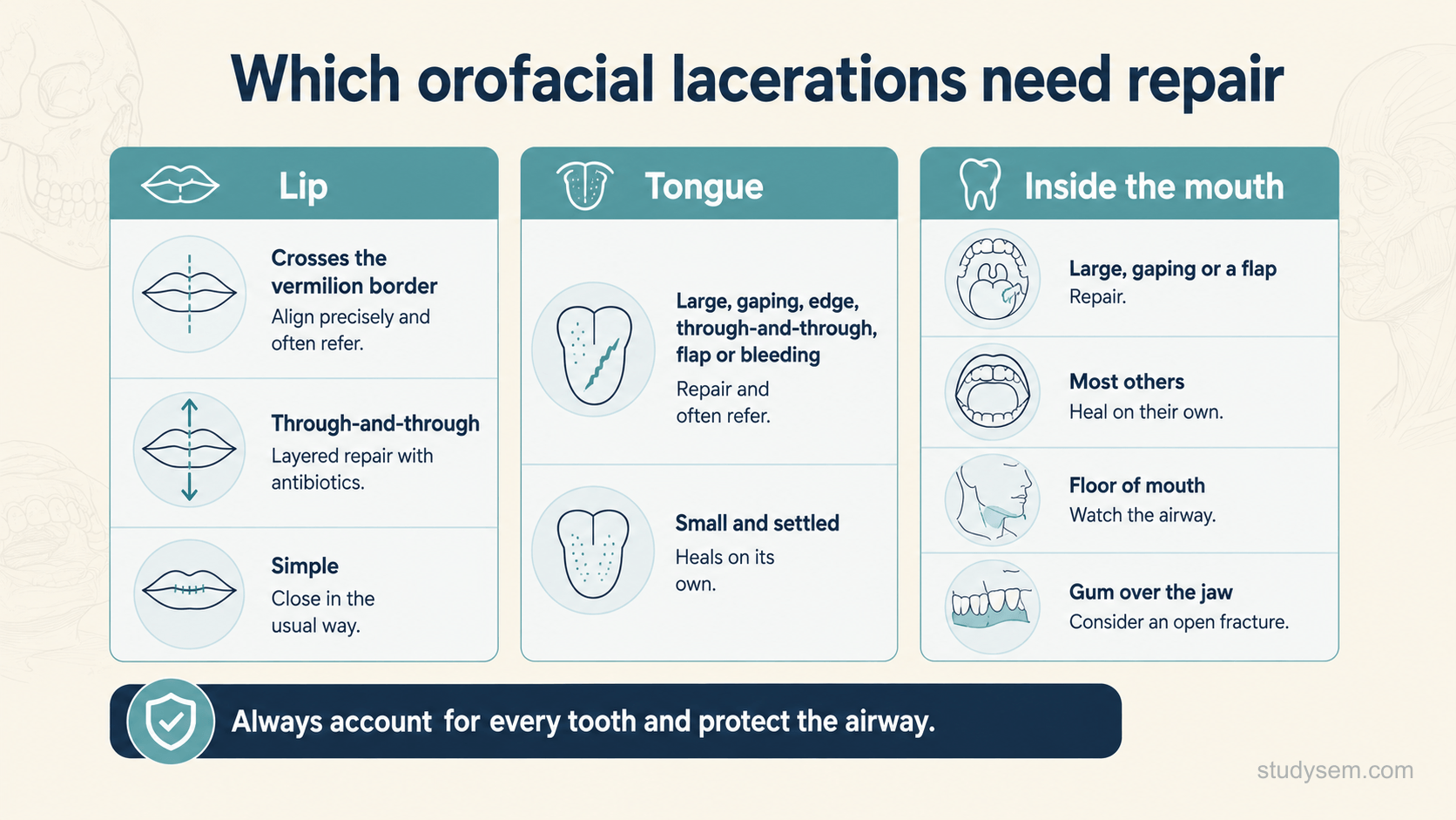 A clean decision diagram on a cream background titled 'Which orofacial lacerations need repair', with three labelled columns. 'Lip': crosses the vermilion border, align precisely and often refer; through-and-through, layered repair with antibiotics considered by risk; simple, close in the usual way. 'Tongue': large and gaping at rest, tip or edge, a substantial flap, or uncontrolled bleeding, repair and often refer; small and settled, heals on its own. 'Inside the mouth': large, gaping or a flap, repair; most others heal on their own; floor of mouth, watch the airway; gum over the jaw, consider an open fracture. A slim strip along the bottom reads 'Always account for every tooth and protect the airway'.