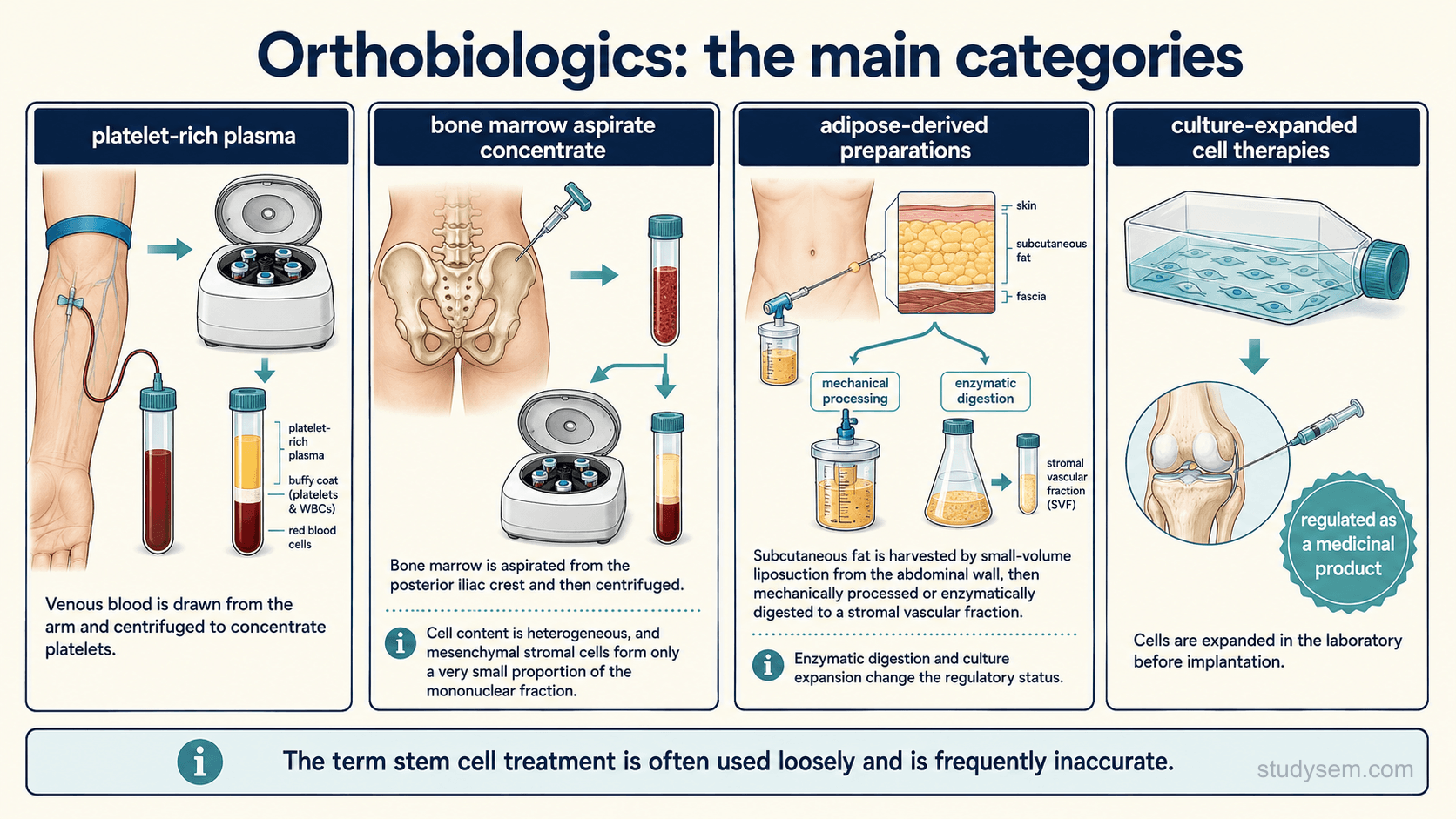 An educational figure titled 'Orthobiologics: the main categories'. Four bordered panels, each with an anatomically accurate source illustration and a short description. Panel one, platelet-rich plasma: venous blood drawn from the arm and centrifuged to concentrate platelets. Panel two, bone marrow aspirate concentrate: a needle aspirating marrow from the posterior iliac crest of an anatomically correct pelvis, with the aspirate then centrifuged, and a note that the cell content is heterogeneous and that cells with mesenchymal stromal or progenitor properties form only a very small proportion of the mononuclear fraction. Panel three, adipose-derived preparations, clearly split into two sub-labels: mechanical processing producing preparations such as microfragmented adipose tissue, and enzymatic digestion which can isolate a stromal vascular fraction, with a note that these are not interchangeable and may differ in regulatory status. Panel four, culture-expanded cell therapies: cells grown in a laboratory before implantation, with a note that these will generally meet advanced therapy medicinal product criteria when intended for therapeutic use, although classification is product-specific. A footer strip reads: the term stem cell treatment is often used loosely and is frequently inaccurate.