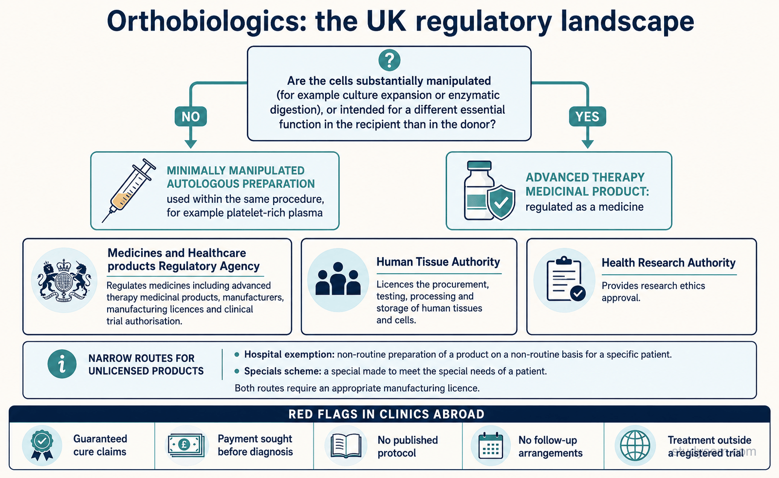 An educational figure titled 'Orthobiologics: the UK regulatory landscape'. A central bordered panel sets out the two criteria that drive classification: whether the cells are substantially manipulated, for example by culture expansion or enzymatic digestion, and whether they are intended for a different essential function in the recipient than in the donor, with a clear note that autologous origin and same-procedure use do not by themselves determine status, that classification is product-specific, and that a classification opinion should be sought from the medicines regulator when uncertain. One branch shows that preparations involving only non-substantial processing, such as centrifugation, may fall outside the advanced therapy medicinal product definition depending on composition and intended function. The other branch shows classification as an advanced therapy medicinal product, regulated as a medicine. Three bordered role boxes name the bodies in full: the Medicines and Healthcare products Regulatory Agency, for medicinal products including advanced therapy medicinal products, manufacture and clinical trials; the Human Tissue Authority, for donation, procurement, testing, processing, storage, distribution, import and export of tissues and cells for human application, with a note that once starting material enters medicinal-product manufacture the medicines regulator applies; and the Health Research Authority, which coordinates health service research approvals, with Research Ethics Committees providing ethical review. A bordered panel headed 'lawful routes' lists a marketing authorisation, an authorised clinical trial, and for an unlicensed product the hospital exemption or the specials route under the required manufacturing licence. A footer strip headed 'red flags' lists guaranteed cure claims, payment sought before diagnosis, no published protocol, no follow-up arrangements, and experimental treatment without verifiable regulatory approval or registered-trial oversight.