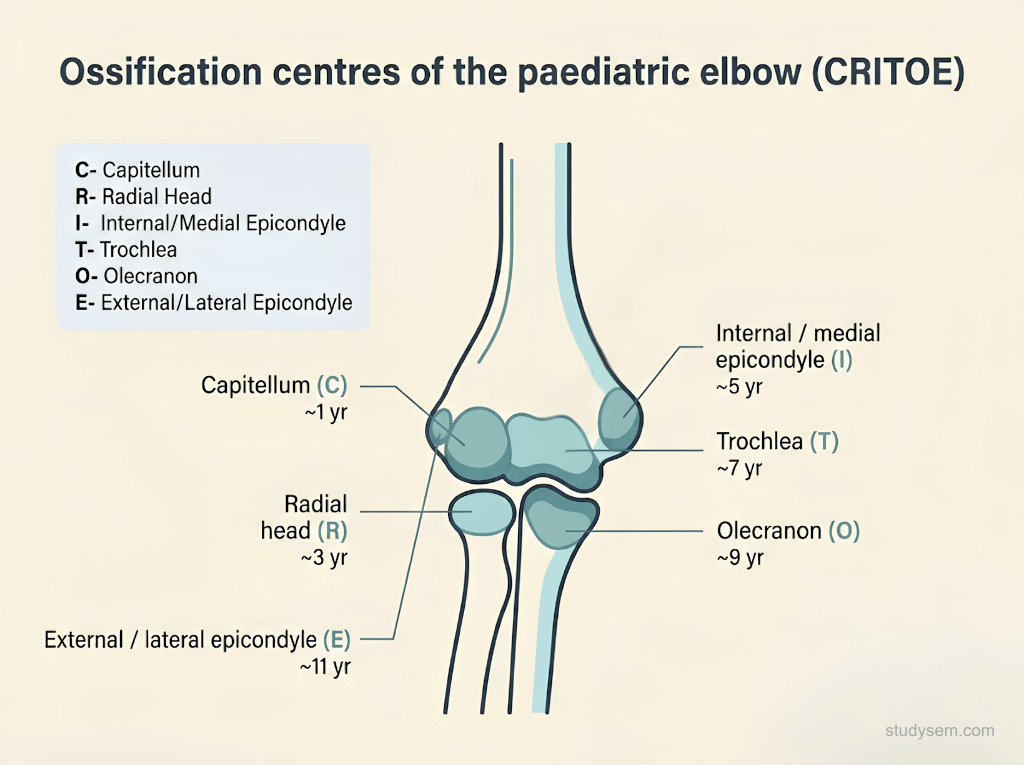 Diagram of the six secondary ossification centres of the paediatric elbow shown in CRITOE order around an outline of a child's elbow: Capitellum (about 1 year), Radial head (about 3 years), Internal or medial epicondyle (about 5 years), Trochlea (about 7 years), Olecranon (about 9 years) and External or lateral epicondyle (about 11 years).