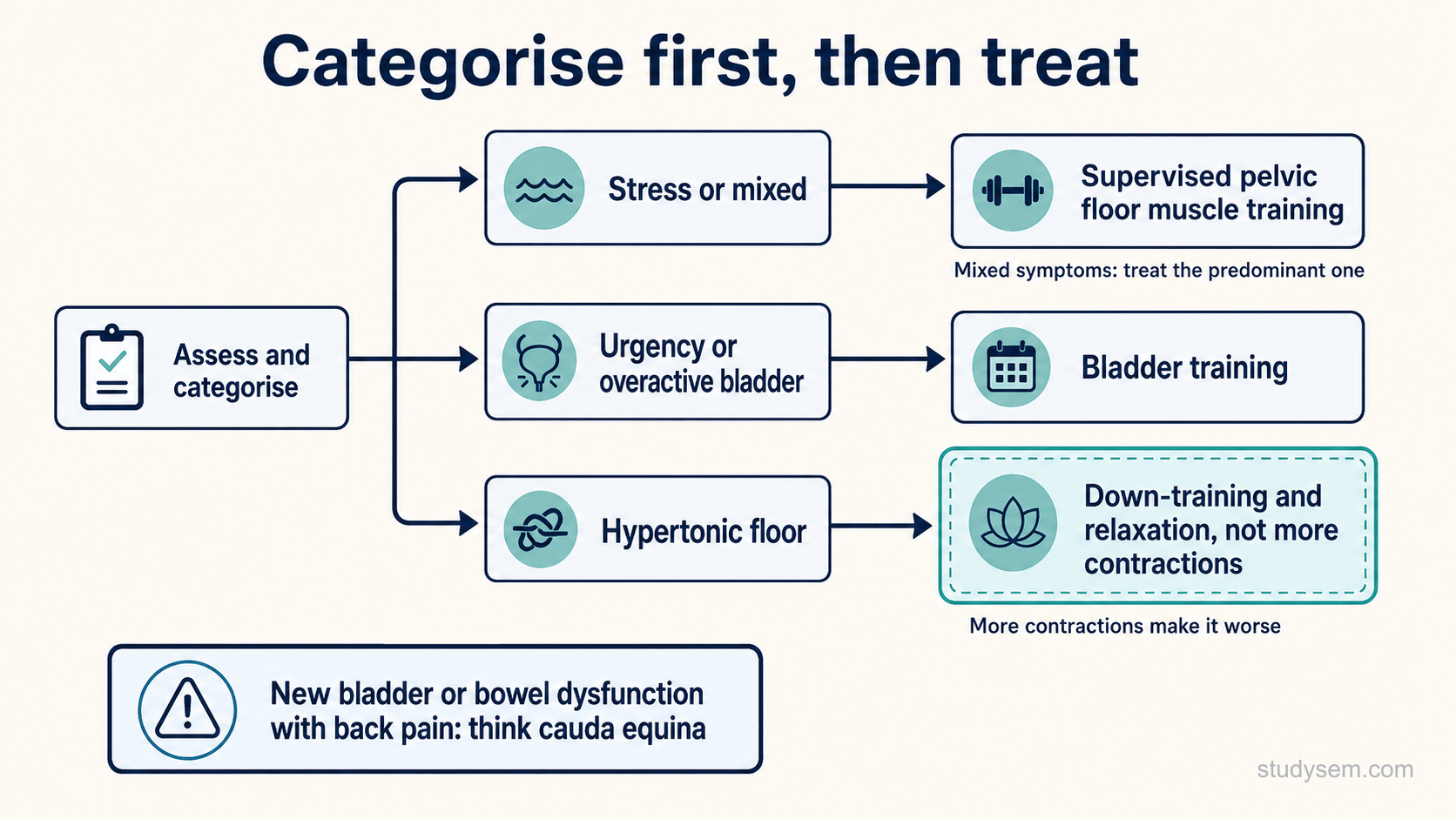 A branching figure titled categorise first, then treat. Assess and categorise leads to three branches: stress or mixed leads to supervised pelvic floor muscle training, with a note that mixed symptoms are treated by the predominant one; urgency or overactive bladder leads to bladder training; and a hypertonic floor leads to down-training and relaxation rather than more contractions, with a note that more contractions make it worse. A separate alert box notes that new bladder or bowel dysfunction with back pain should prompt thinking of cauda equina. No durations or numeric values are shown.