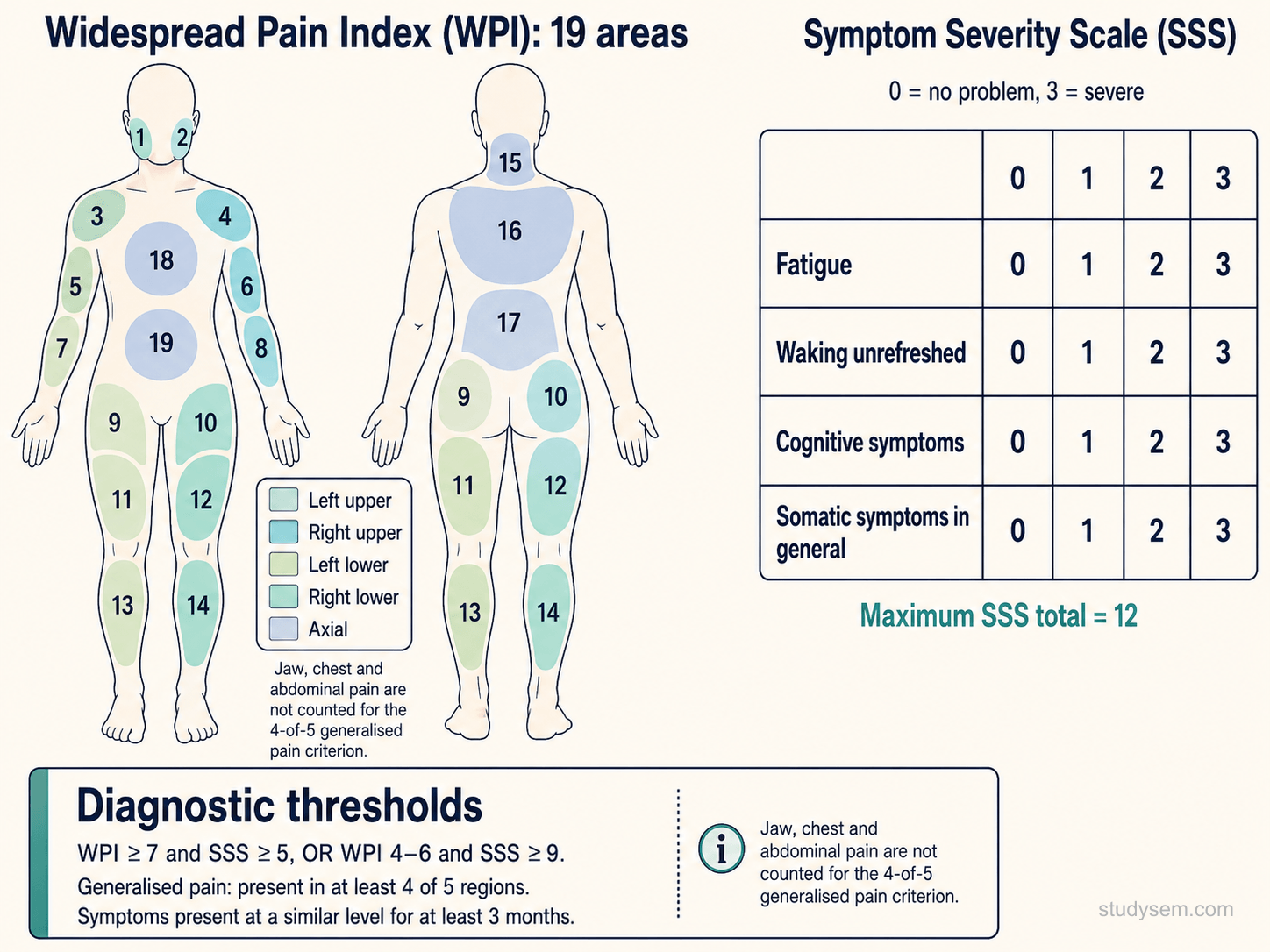 Diagram of the 2016 ACR fibromyalgia criteria. Left: anterior and posterior body map highlighting the 19 areas across 5 body regions used to score the Widespread Pain Index (WPI). Right: the Symptom Severity Scale (SSS) listing fatigue, waking unrefreshed, and cognitive symptoms each scored 0-3 plus somatic symptom burden 0-3. Diagnostic thresholds: WPI of 7 or more plus SSS of 5 or more, or WPI 4-6 plus SSS of 9 or more, with generalised pain in 4 of 5 regions for at least 3 months.