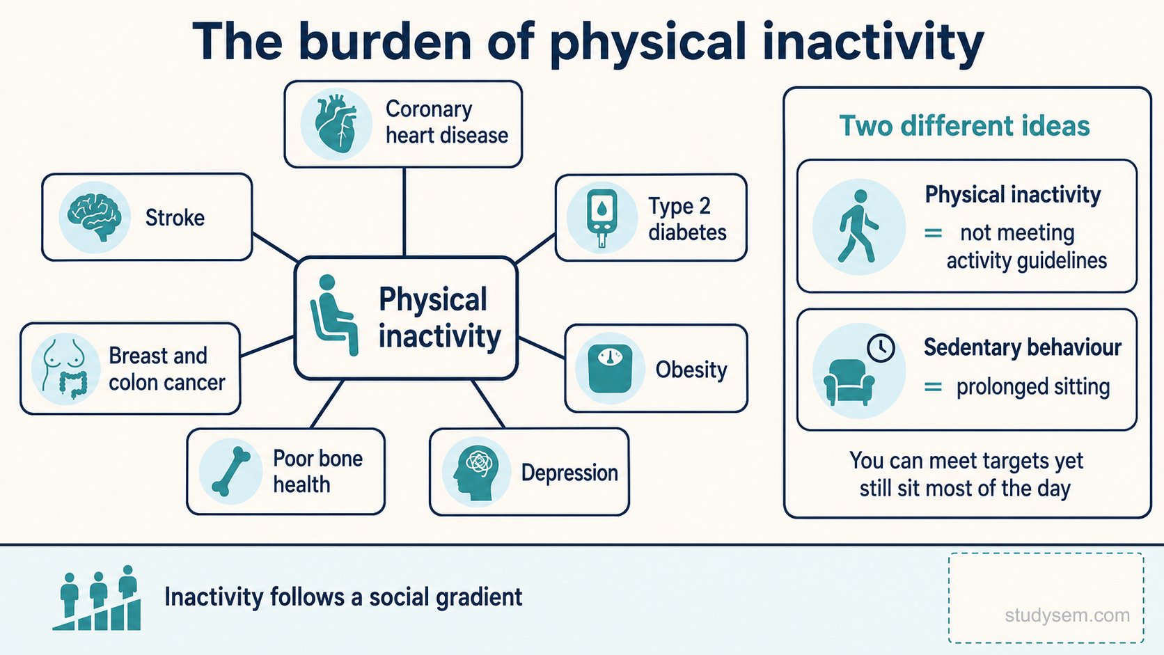 A concept figure showing physical inactivity as a leading global health risk: a central label for physical inactivity with arrows out to the conditions it contributes to, namely coronary heart disease, stroke, type 2 diabetes, breast and colon cancer, obesity, poor bone health and depression, alongside a separate panel distinguishing physical inactivity, meaning not meeting activity guidelines, from sedentary behaviour, meaning prolonged waking sitting, with a note that prolonged sitting is associated with additional risk that is only partly offset by being active, and that inactivity follows a social gradient.