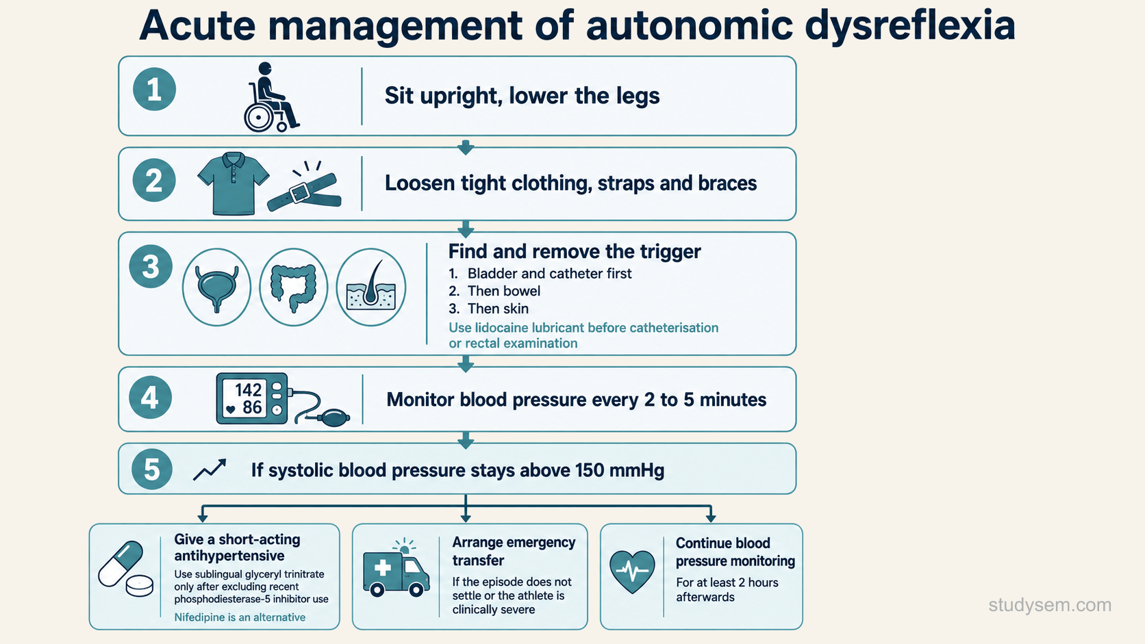 A top-to-bottom flowchart of the acute management of autonomic dysreflexia: first sit the athlete upright and lower the legs, then loosen tight clothing and straps, then find and remove the trigger checking the bladder and catheter first followed by bowel and skin, using lidocaine lubricant before catheterisation or rectal examination, while monitoring blood pressure every two to five minutes; if systolic pressure remains above 150 mmHg give a short-acting antihypertensive, using sublingual glyceryl trinitrate only after excluding recent phosphodiesterase-5 inhibitor use or nifedipine as the alternative; arrange emergency transfer if the episode does not settle or the athlete is clinically severe, and continue blood pressure monitoring for at least two hours afterwards.