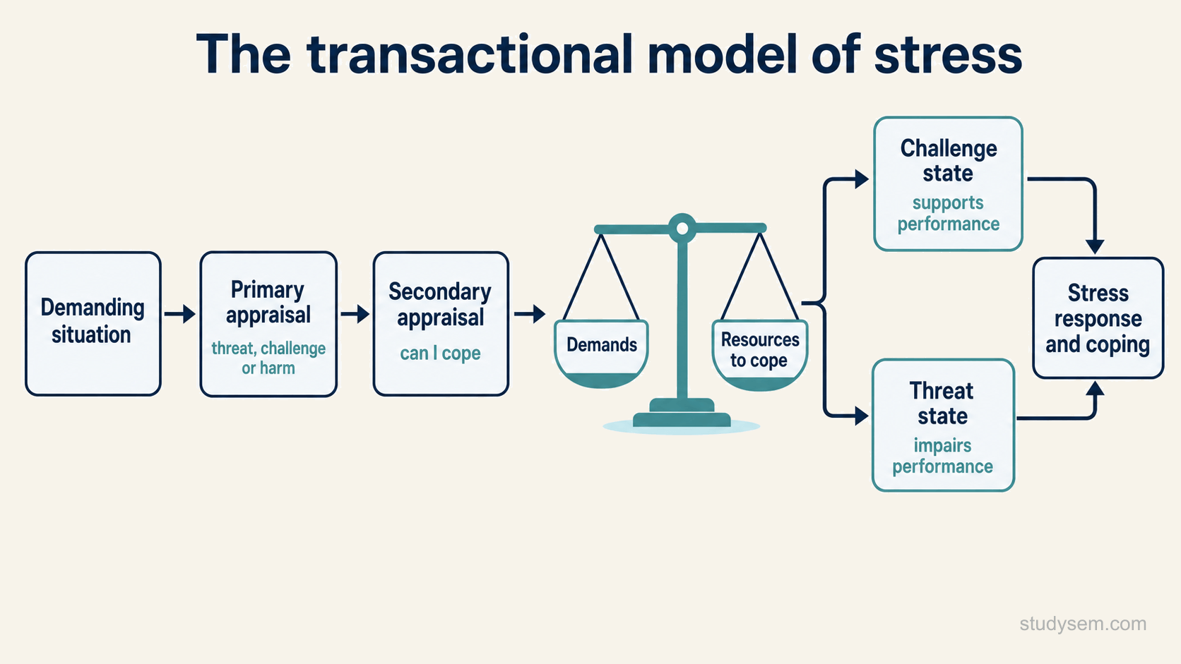 A concept figure of the transactional model of stress: a situation leads to primary appraisal (is this a threat, challenge or harm), then secondary appraisal (can I cope), with the balance of demands against resources producing either a challenge state that supports performance or a threat state that impairs it, followed by a physiological stress response and coping.