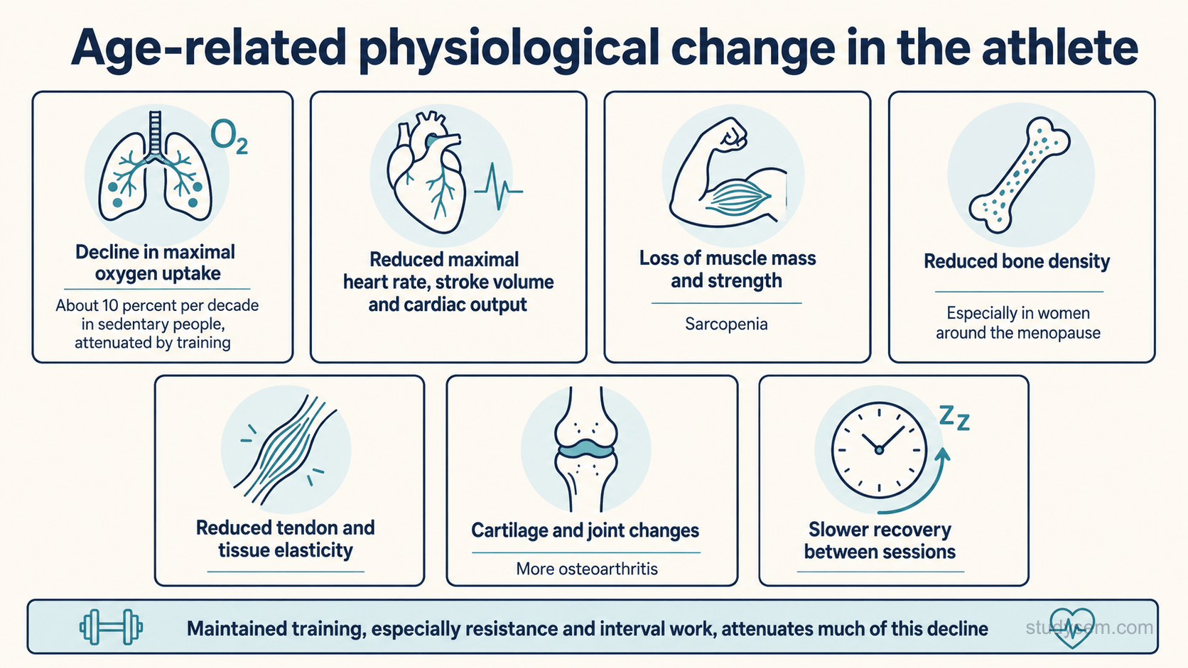 A figure titled 'Age-related physiological change in the athlete'. Panels show the main changes: a decline in maximal oxygen uptake, roughly ten percent per decade in sedentary people but attenuated by maintained training; a reduced maximal heart rate, stroke volume and cardiac output; age-related loss of muscle mass, strength and power (sarcopenia); reduced bone density, particularly in women around the menopause; reduced tendon and tissue elasticity; cartilage and joint changes with a higher likelihood of osteoarthritis; and slower recovery between sessions. A footer notes that maintained training, especially resistance and interval work, attenuates much of this decline.