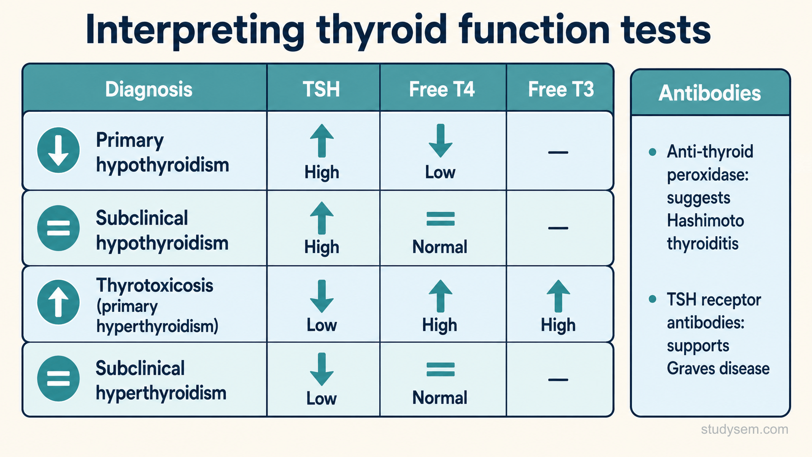 A grid interpreting thyroid function tests. Primary hypothyroidism: TSH high, free T4 low. Subclinical hypothyroidism: TSH high, free T4 normal. Thyrotoxicosis: TSH low, free T4 and or free triiodothyronine high, which confirms the thyrotoxic state but not its cause. Subclinical hyperthyroidism: TSH low, free T4 and free triiodothyronine normal. A side panel notes that thyroid-stimulating hormone receptor antibodies are used to confirm Graves disease, and that anti-thyroid peroxidase antibodies support autoimmune thyroid disease. A footer notes that acute illness, pregnancy, medicines and high-dose biotin can distort results.