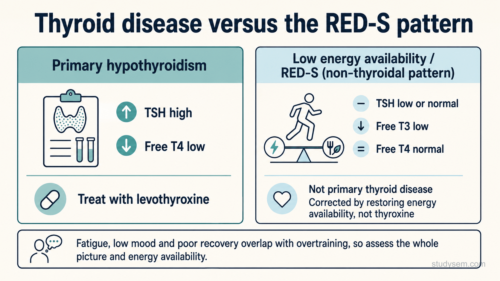 A comparison figure. Left: primary hypothyroidism shows TSH high and free T4 low and is treated with levothyroxine. Right: low energy availability can be accompanied by a low free triiodothyronine with a non-elevated TSH, but this pattern is not specific, and other illness, medication and nutritional causes must be excluded before attributing it to low energy availability. Where it reflects low energy availability it is addressed by restoring energy availability, not by thyroxine. A footer notes that fatigue and poor recovery overlap with overtraining, so the whole picture is assessed.