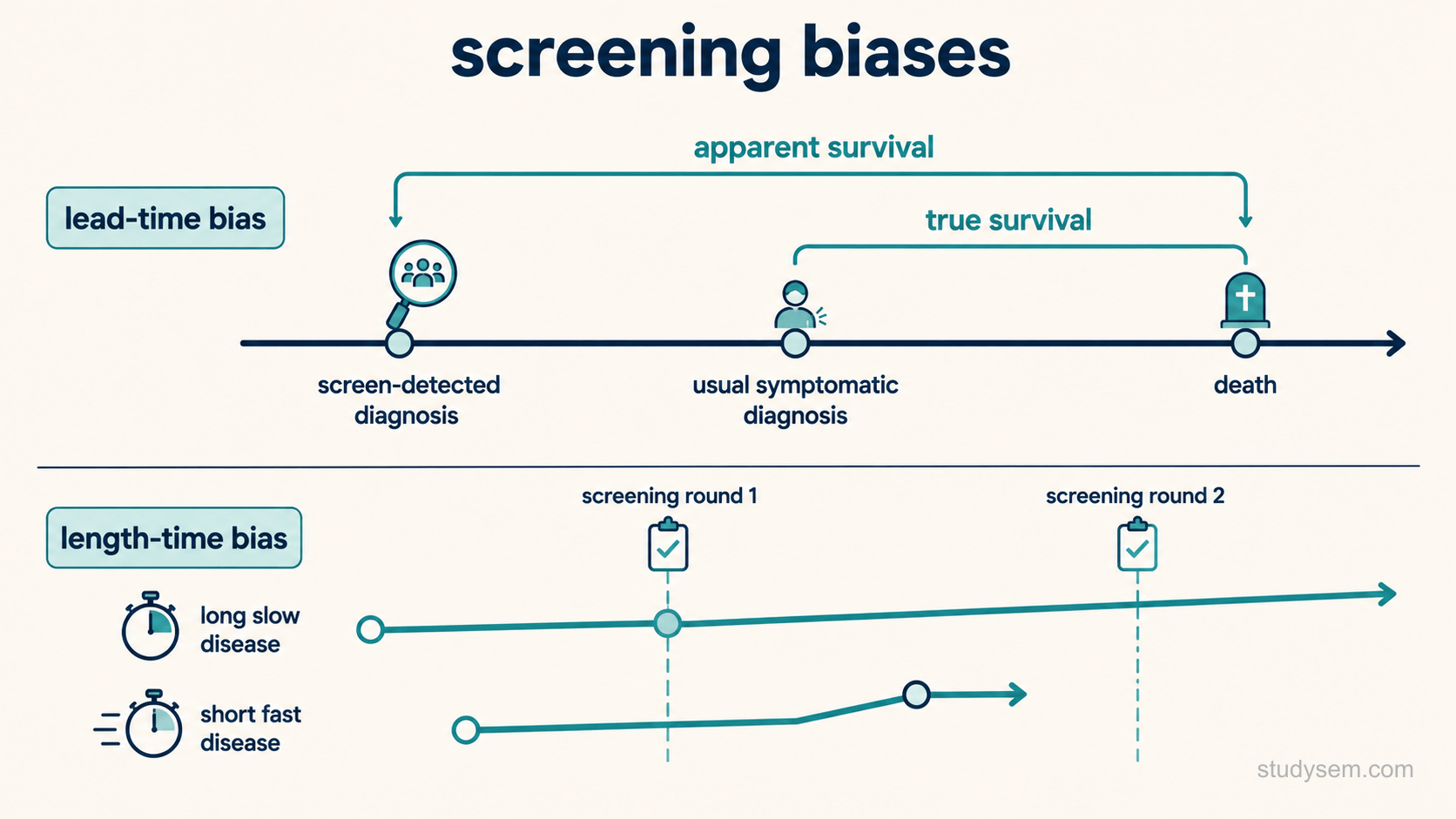 Two simple timeline diagrams stacked on a cream background. The upper diagram, labelled lead-time bias, shows a horizontal life course line with three marks: screen-detected diagnosis, usual symptomatic diagnosis, and death. A bracket spans from screen-detected diagnosis to death labelled apparent survival, and a shorter bracket spans from usual diagnosis to death labelled true survival, with the death mark in the identical position on both. The lower diagram, labelled length-time bias, shows two disease courses running to detection: a long slow one that a screening round intersects, and a short fast one that appears and presents between two screening rounds. No other text.