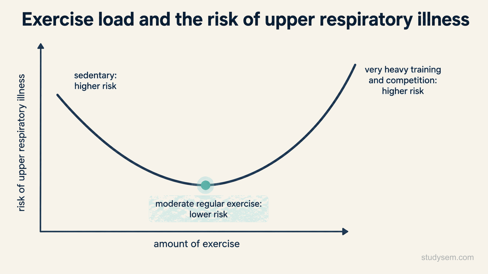 A J-shaped curve of exercise load against the risk of acute upper respiratory illness, with higher risk at the sedentary end, the lowest risk around moderate regular exercise, and rising risk again with very heavy training and competition.