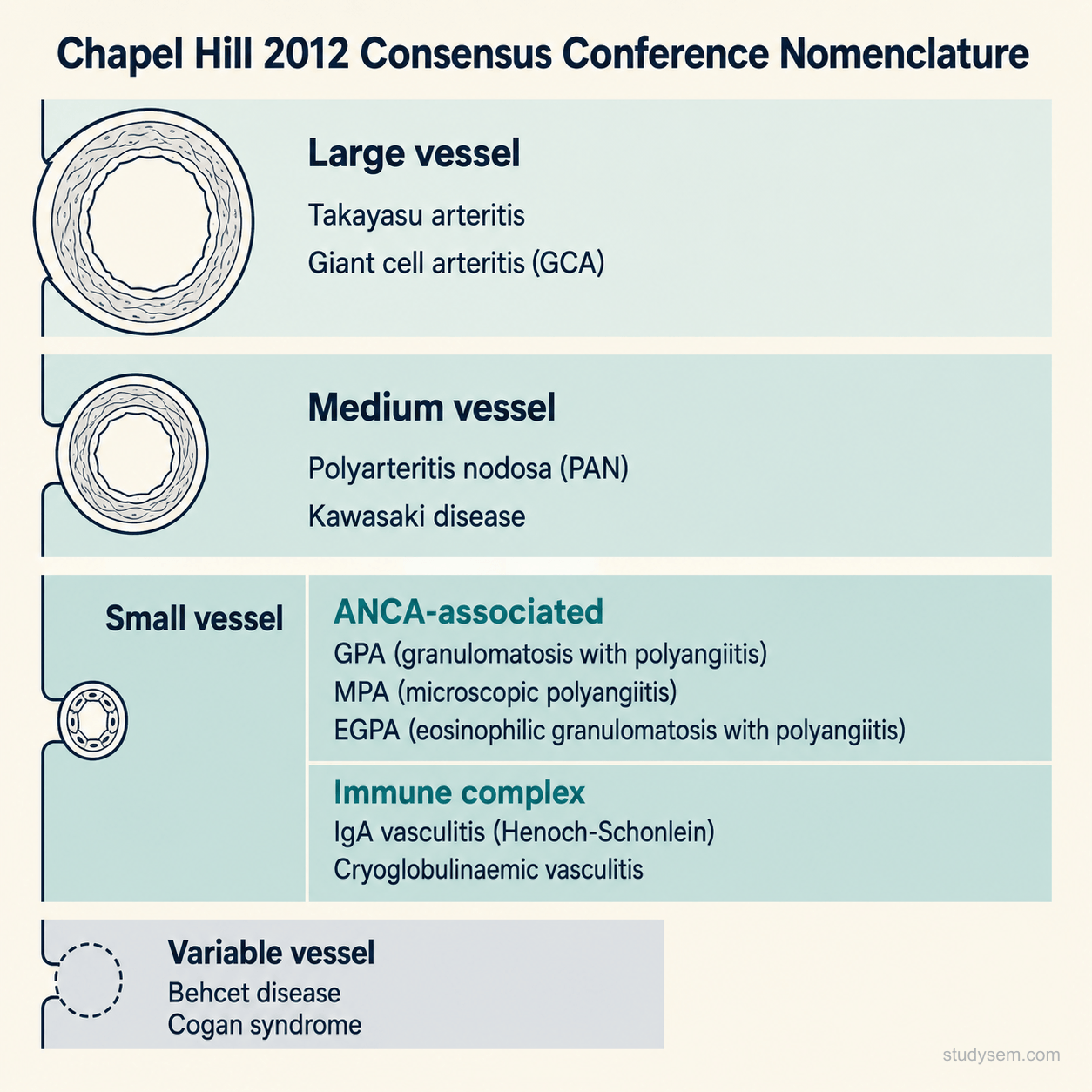 Chapel Hill 2012 nomenclature schematic organising the systemic vasculitides by predominant vessel size: large vessel (GCA, Takayasu), medium vessel (PAN, Kawasaki), small vessel ANCA-associated (GPA, MPA, EGPA), small vessel immune complex (IgA vasculitis, cryoglobulinaemic), and variable vessel (Behcet, Cogan)