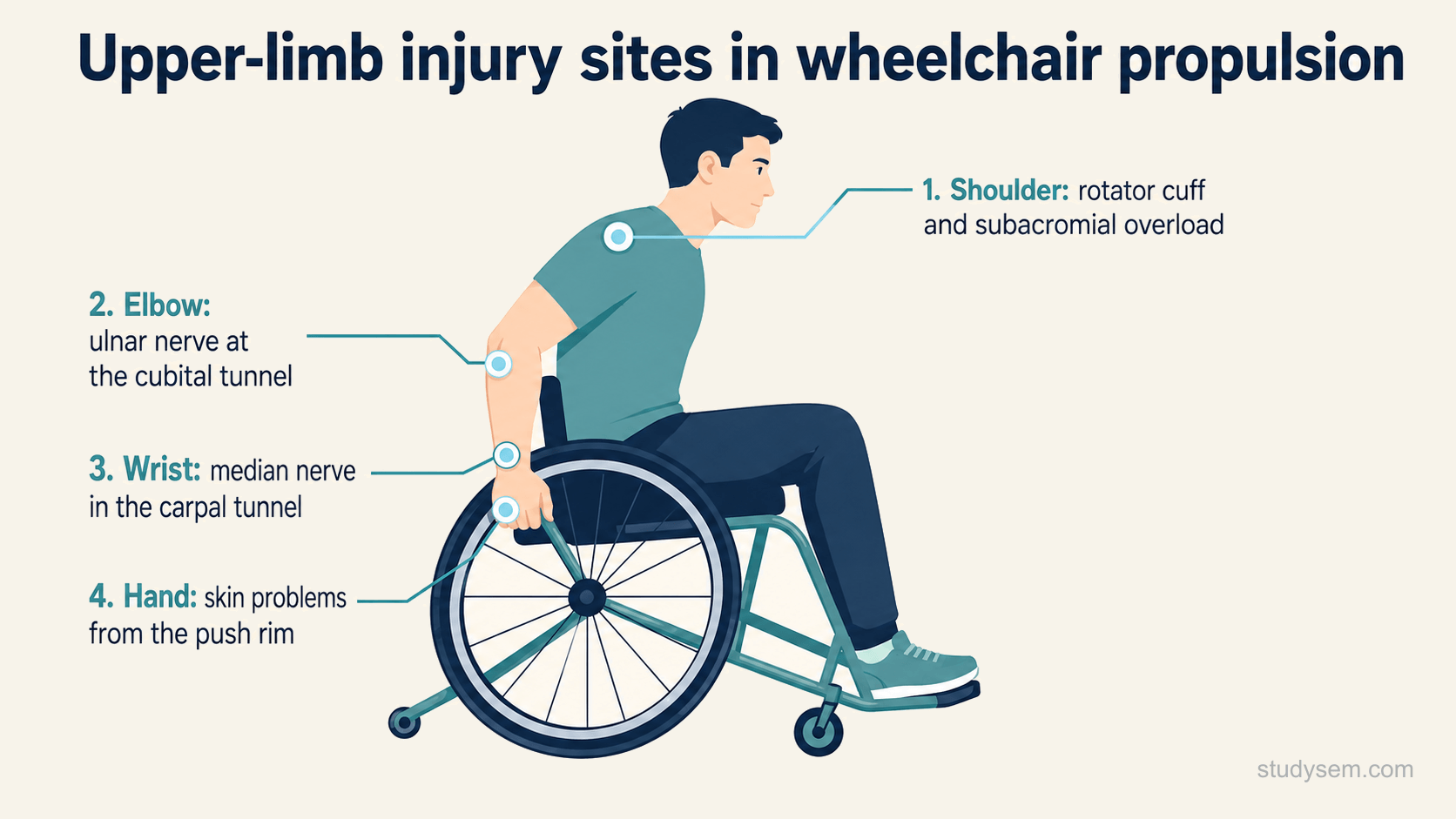 A concept figure of a manual wheelchair user propelling the chair, with the common upper-limb injury sites labelled: the shoulder with rotator cuff and subacromial overload, the elbow with ulnar nerve compression at the cubital tunnel, the wrist with median nerve compression in the carpal tunnel, and the hand with skin problems from the push rims.